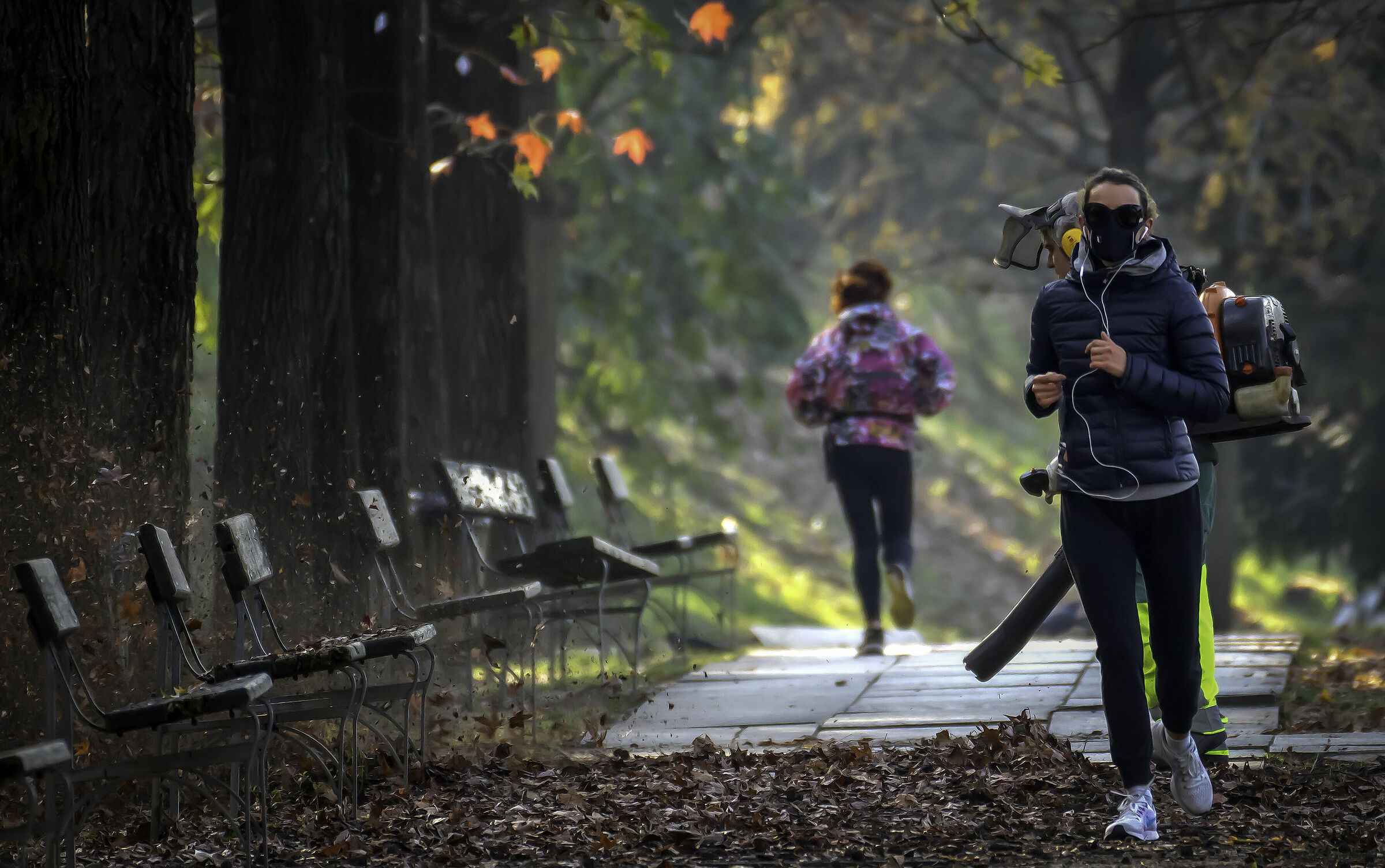 Jogging among the leaves