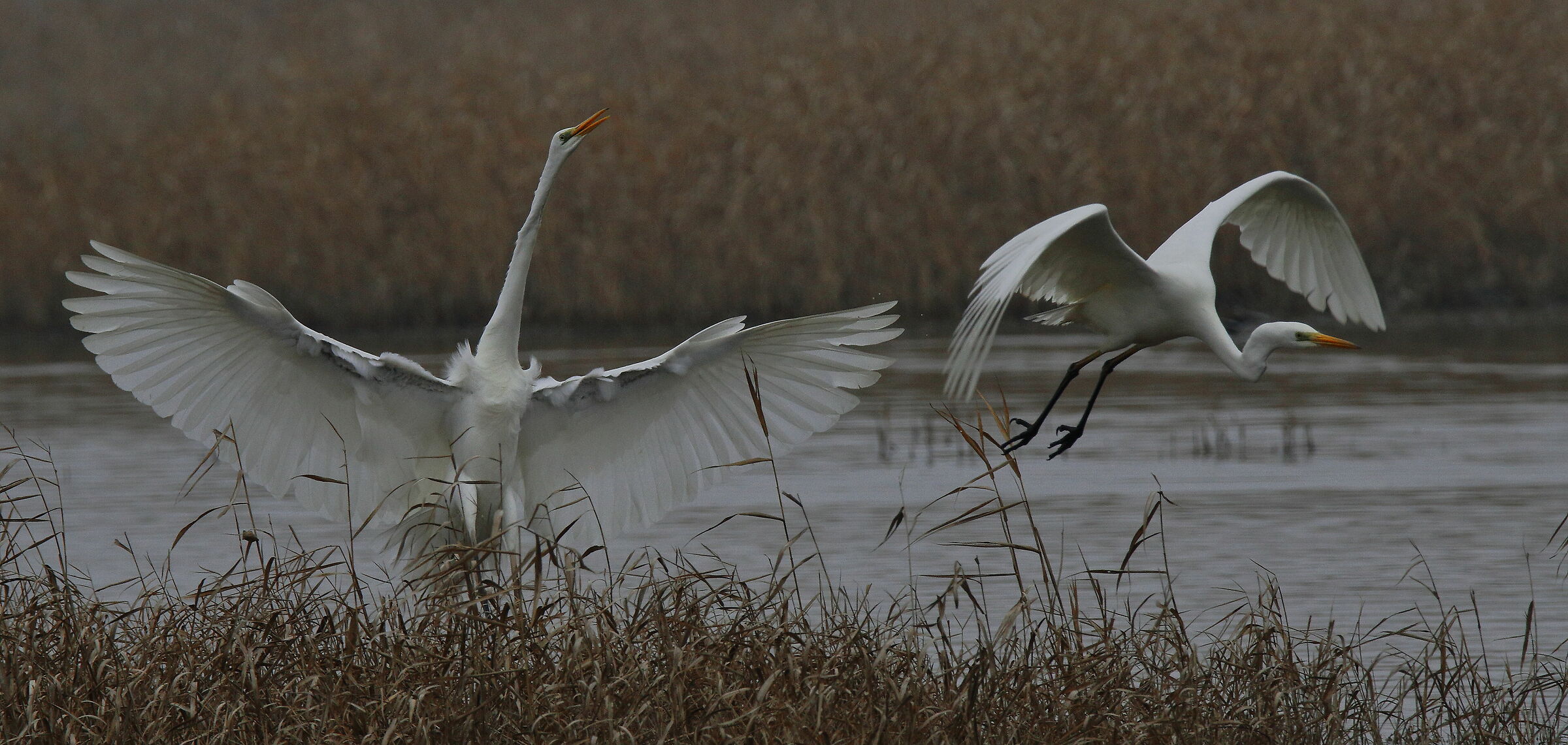 ...vincitori e vinti...