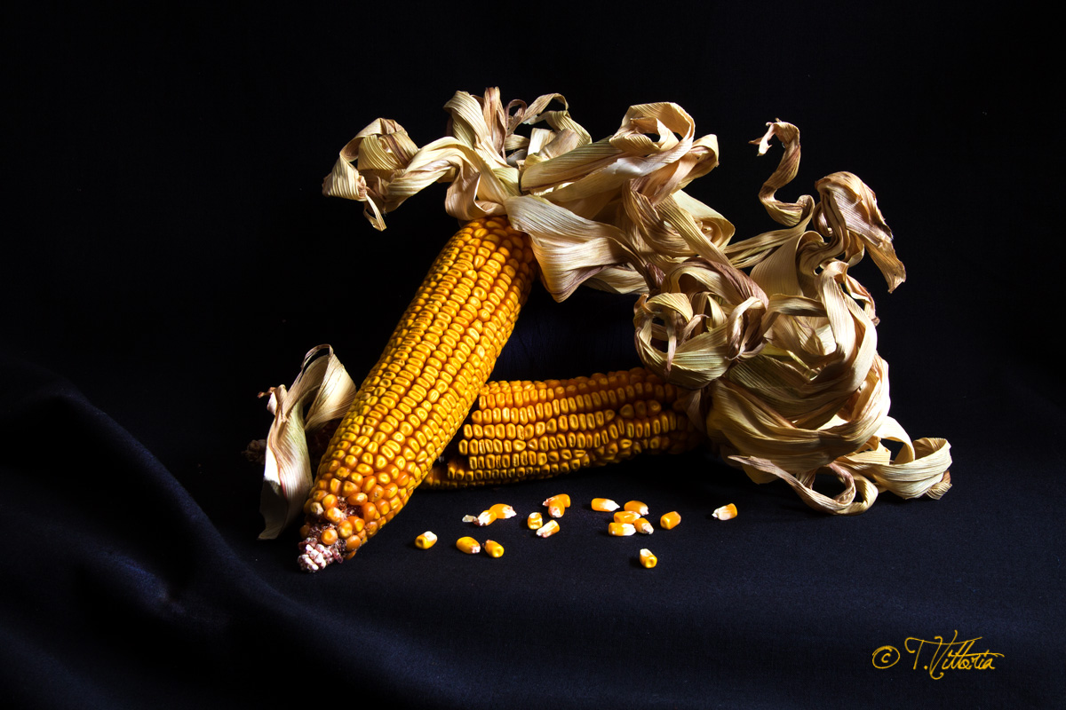 Perdiamo i denti ma ci siamo fatte i ricci