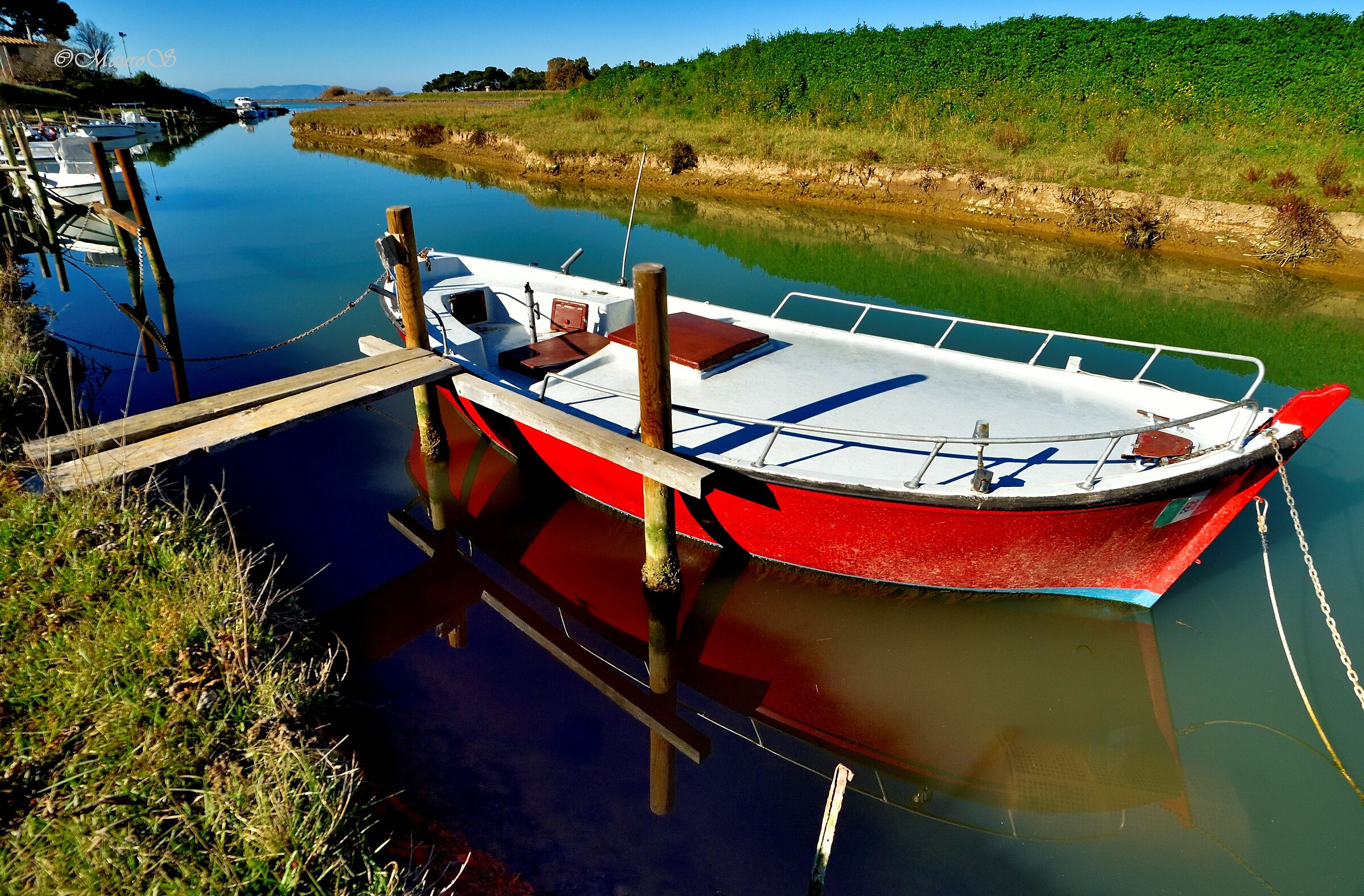 Riflessi