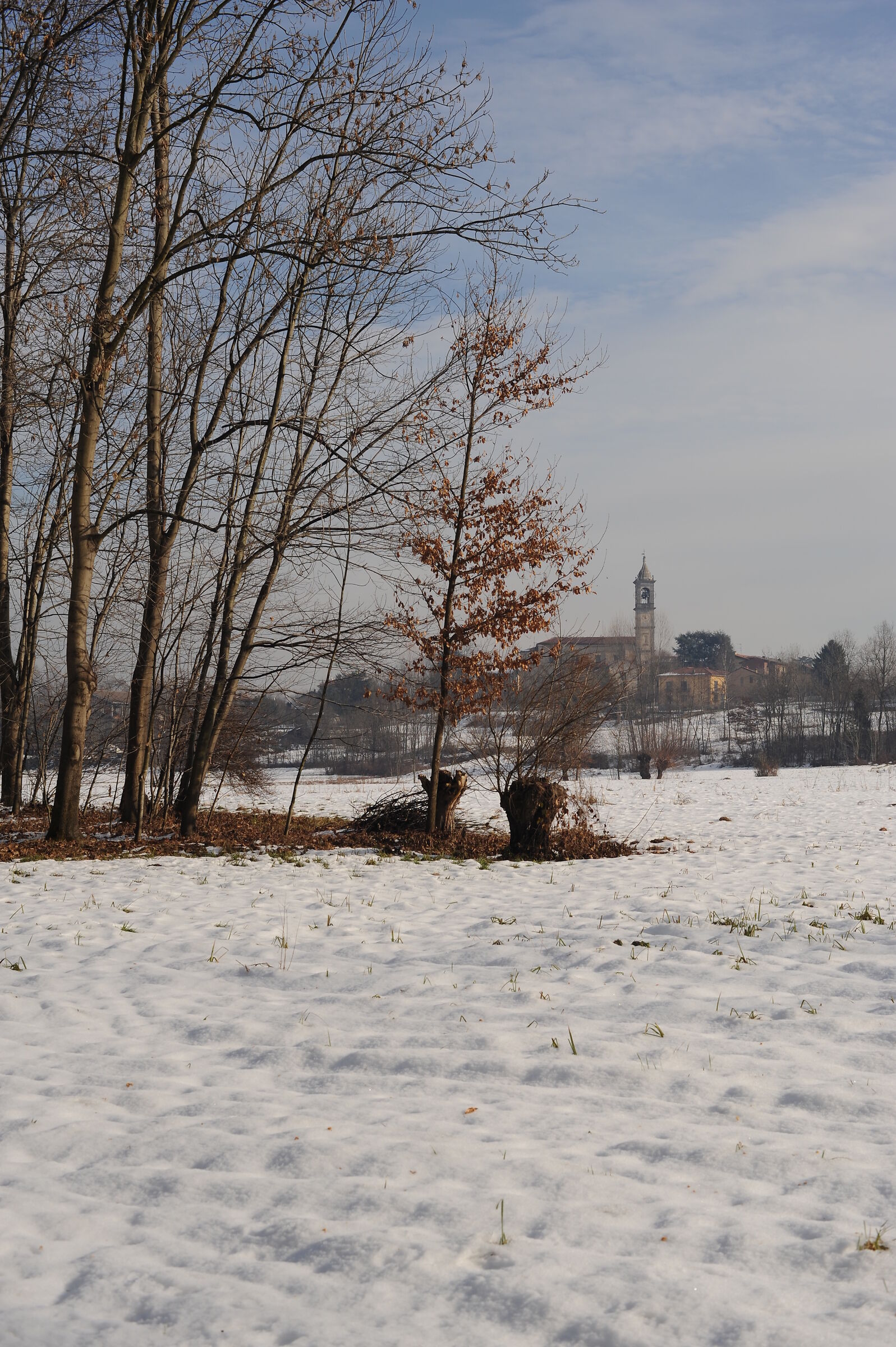Oasis of Cazzago Brabbia (goes)