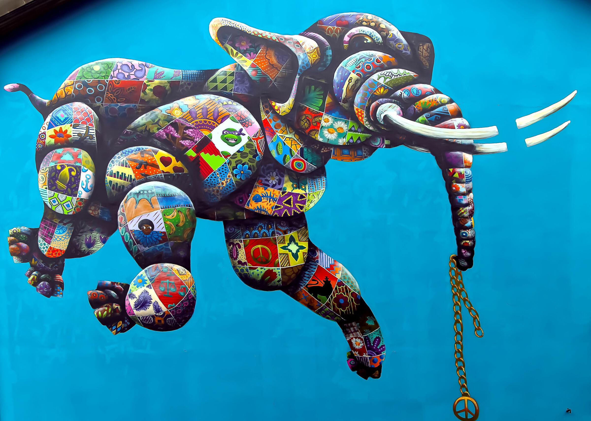 Against the illegal trade in ivory