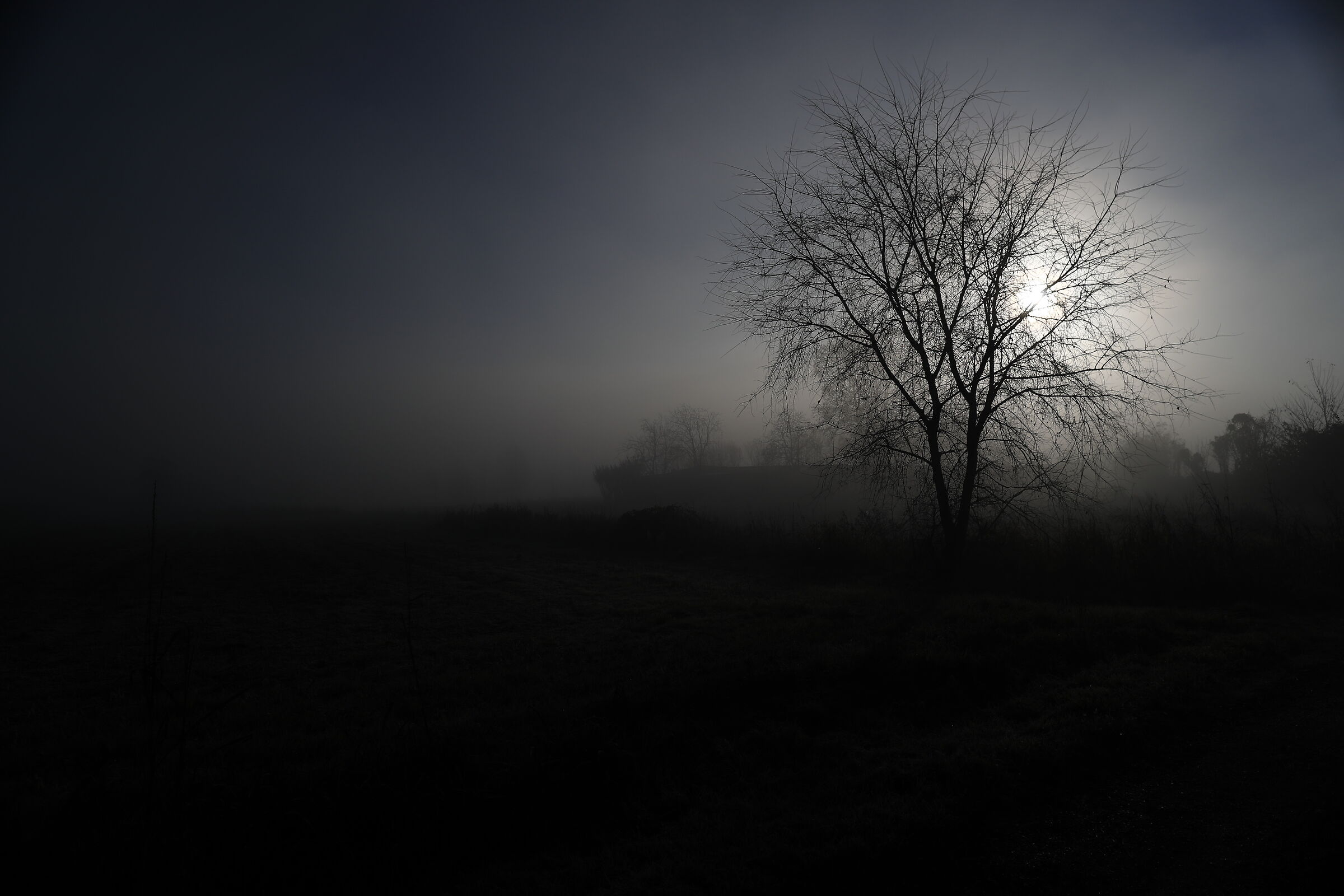 Giornata con nebbia fitta