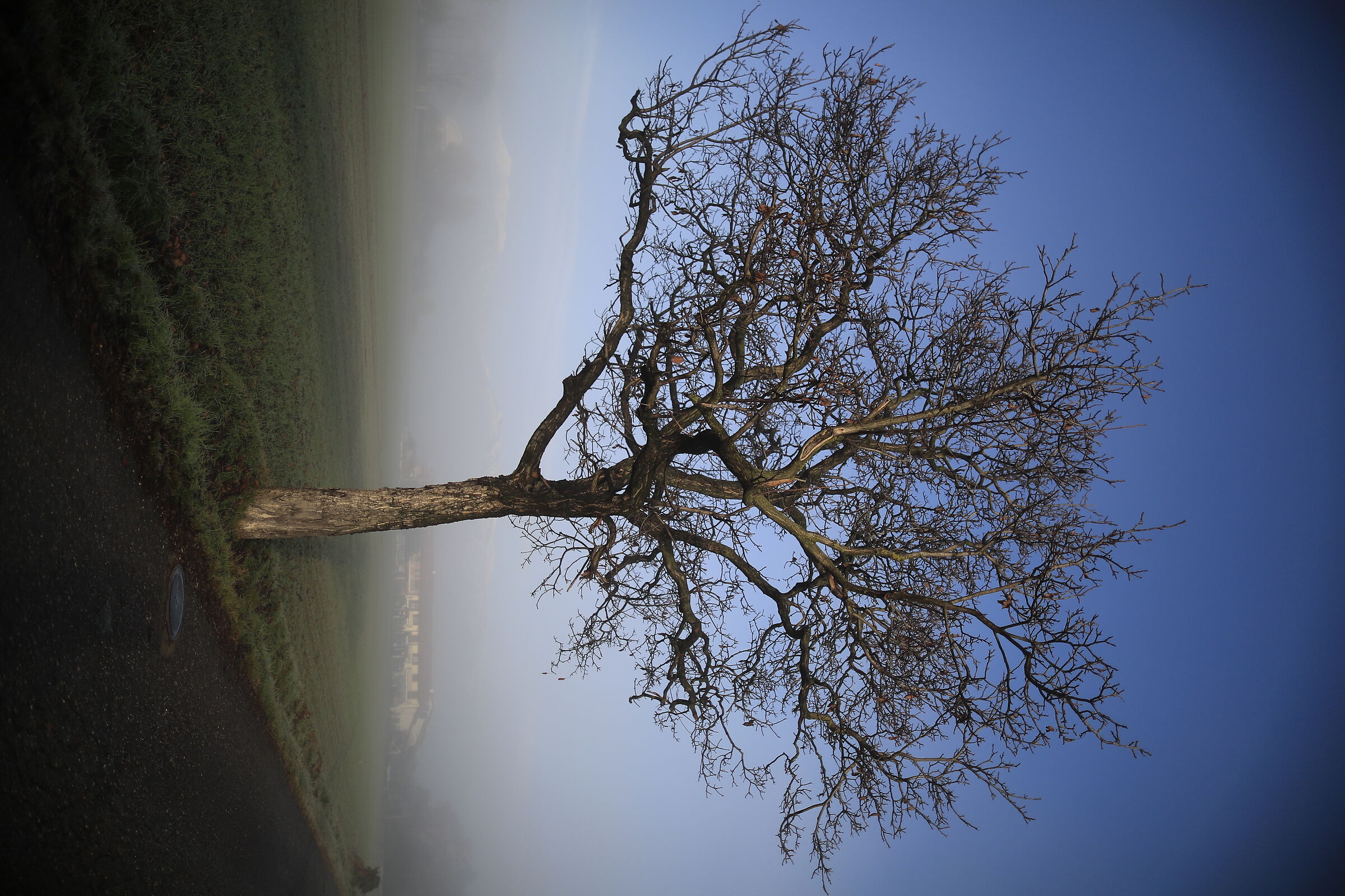 Cala la nebbia sulla  campagna