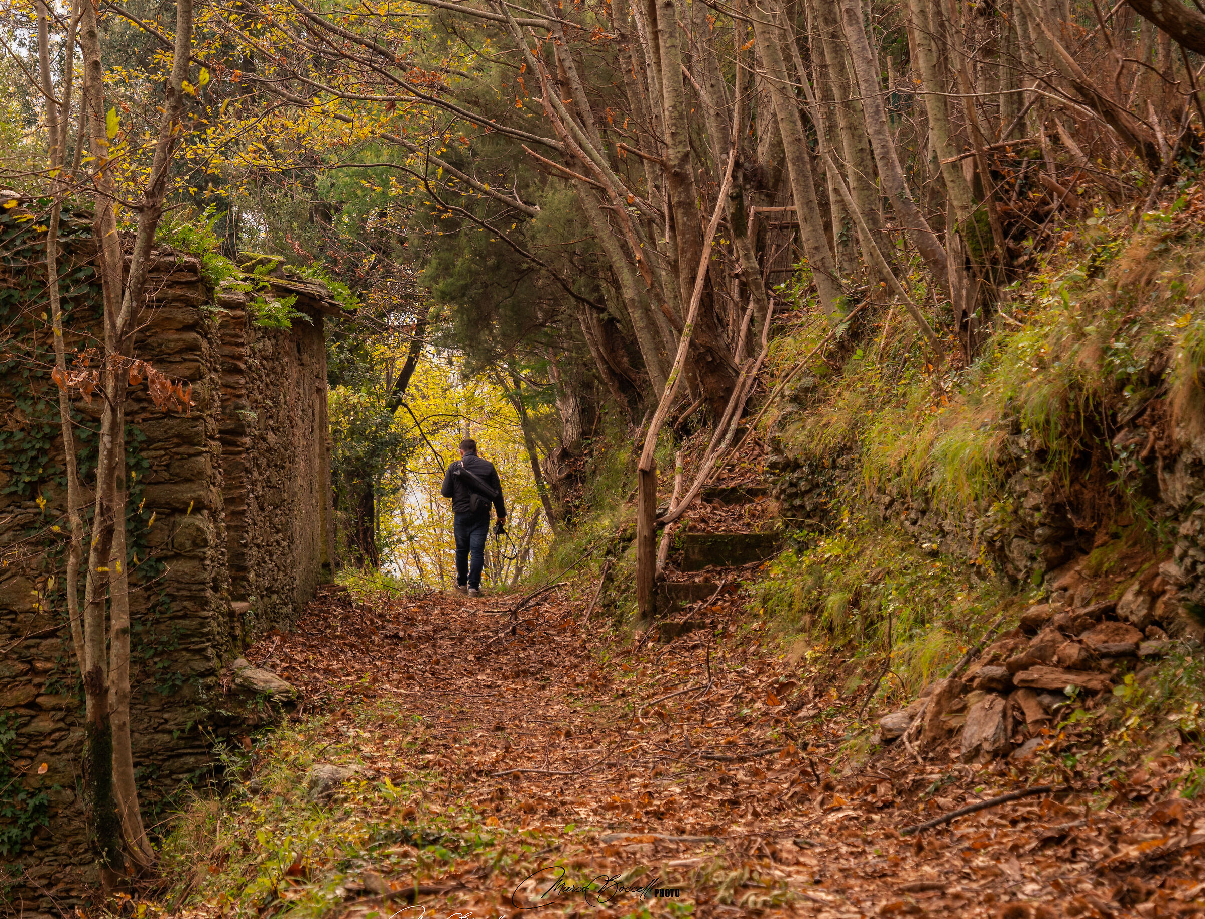 Verso "Cerreta"