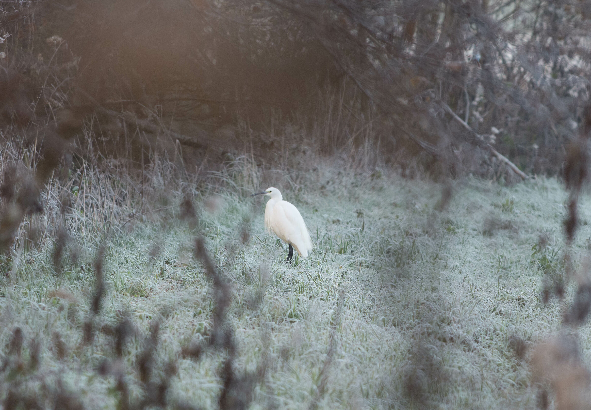 Ma quanto siete belli