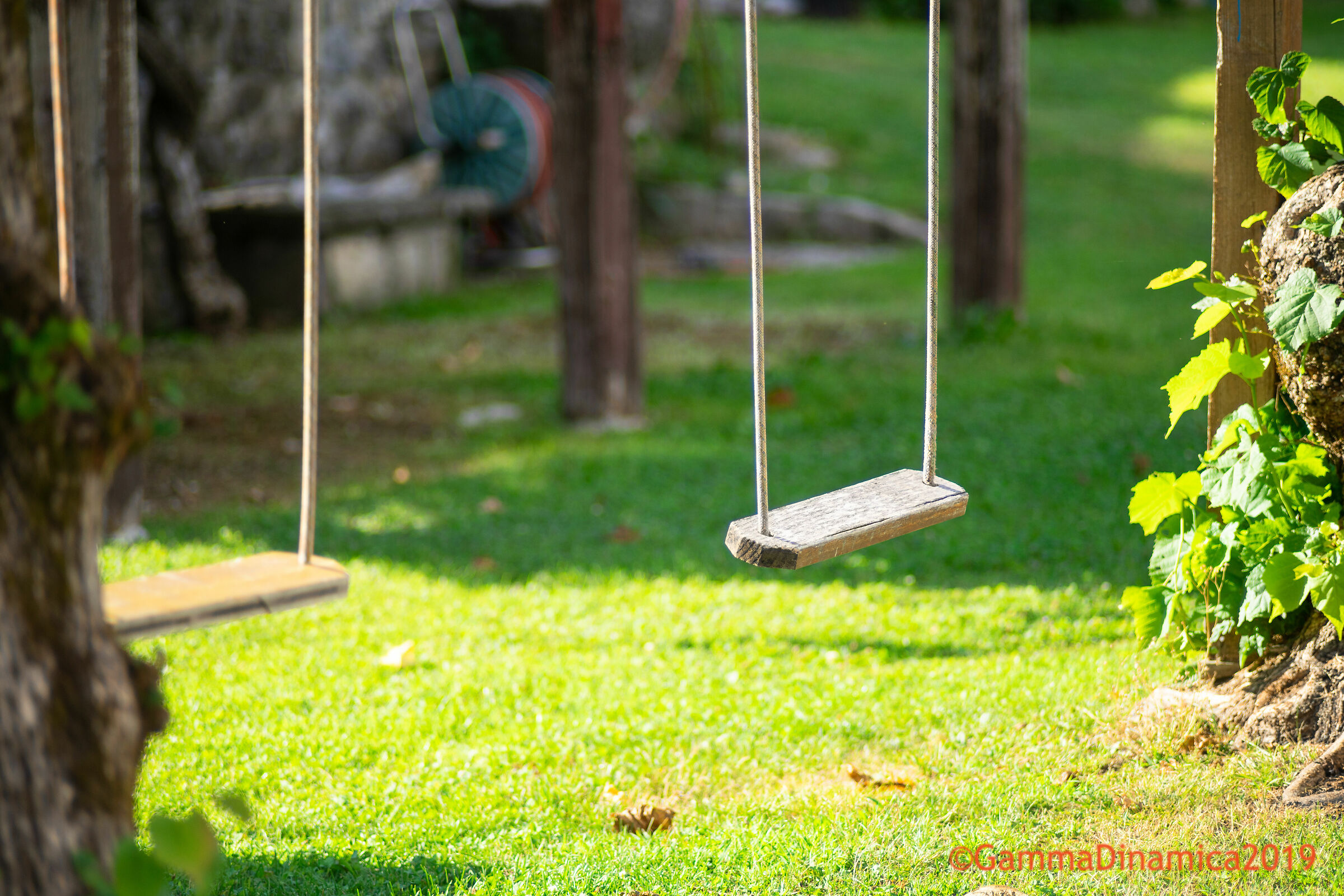 The Swing