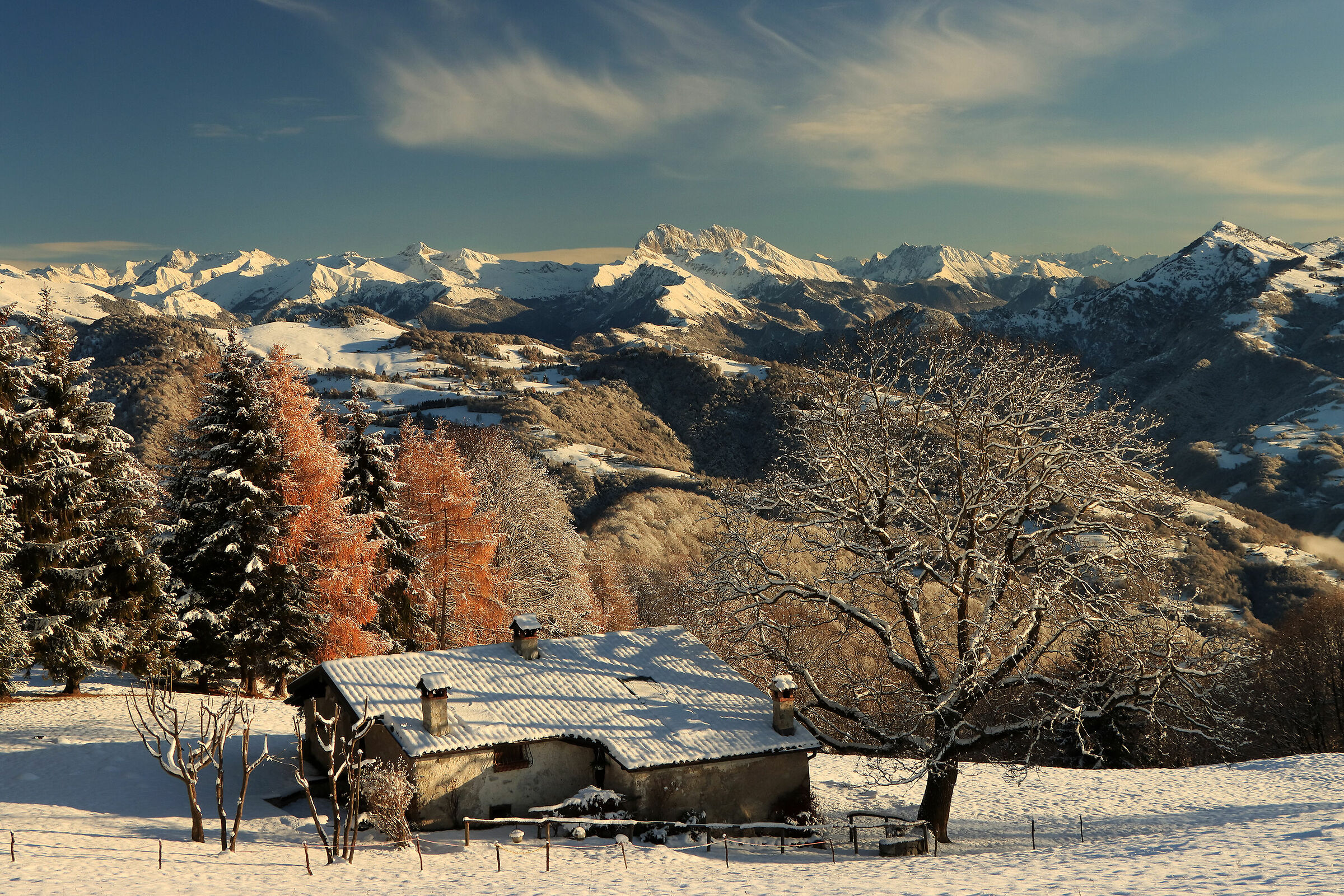 il bianco a "Ca de Spì"