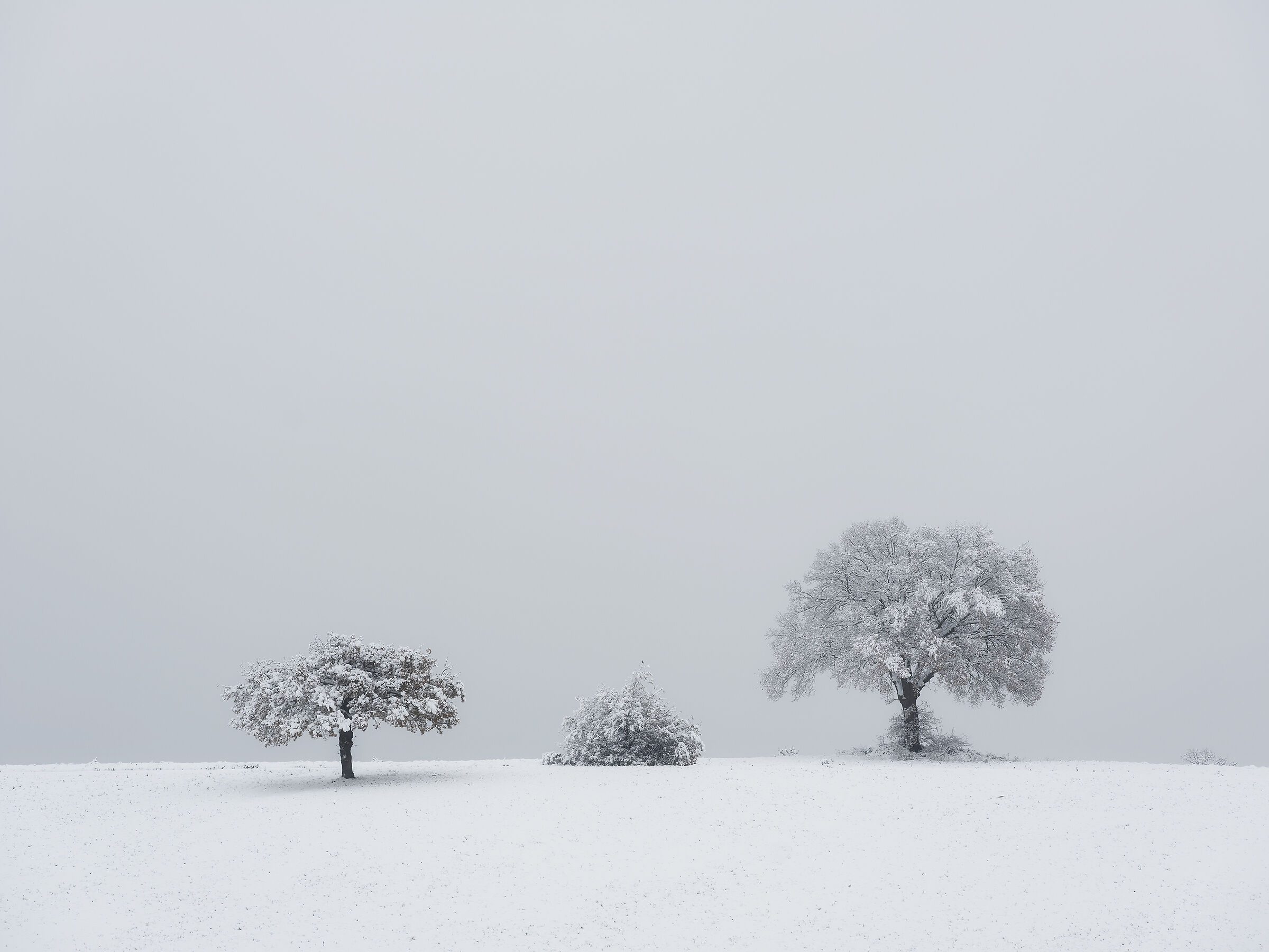 Ritratto di famiglia