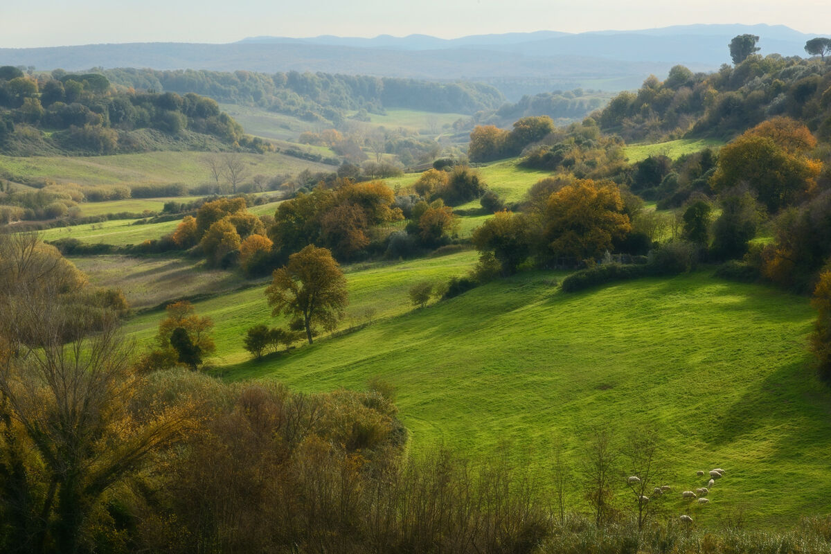 Tuscania fantasy - 20201129