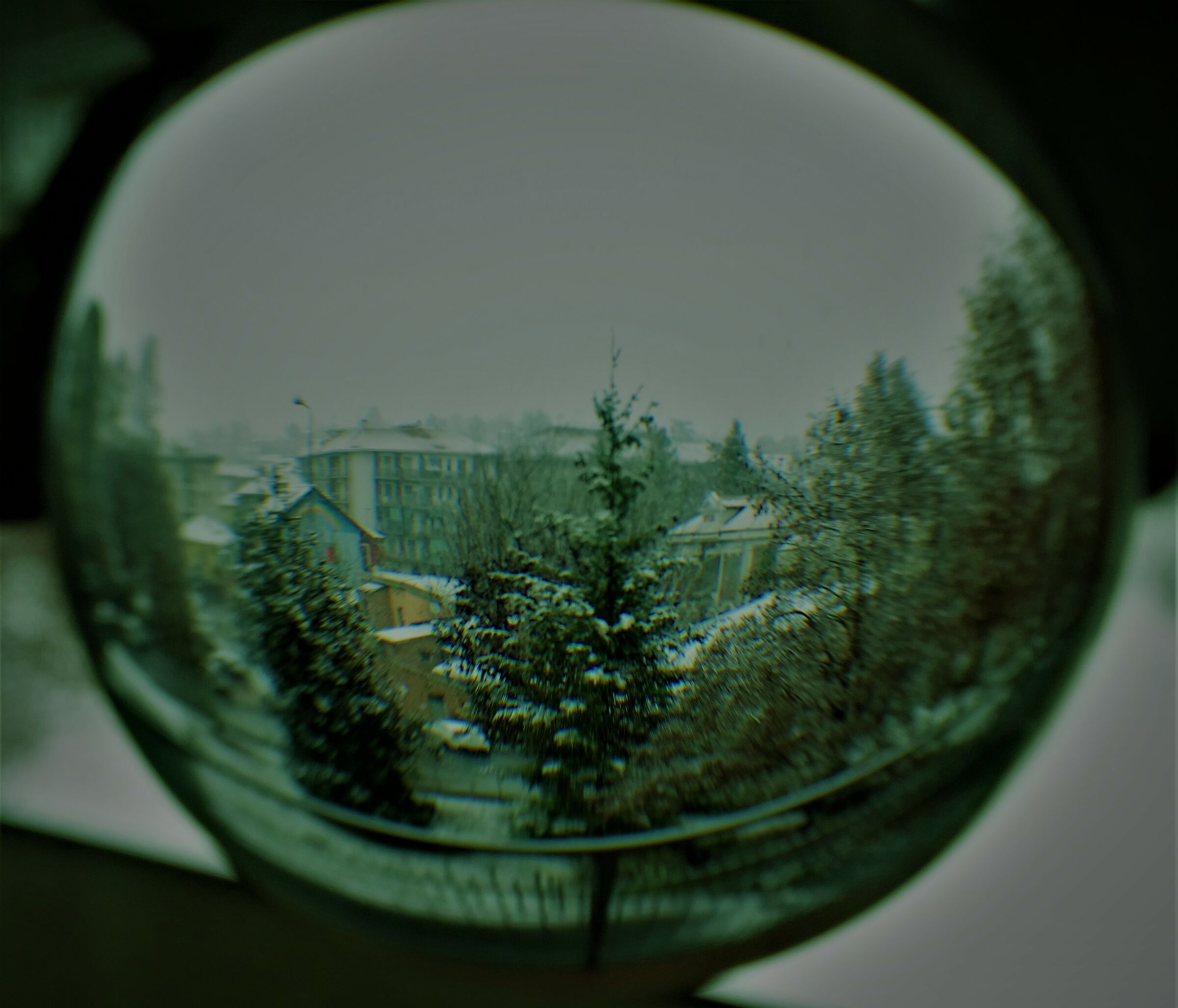 paesaggio innevato dentro una sfera di cristallo...