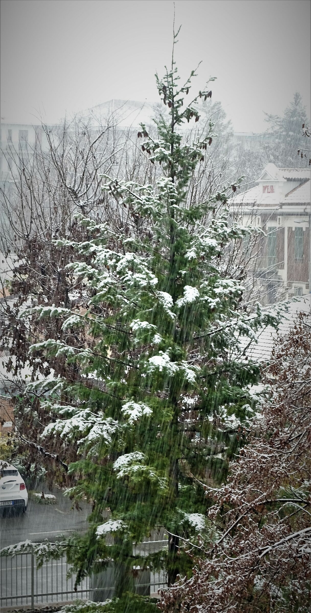 neve a Torino 04-12-2020