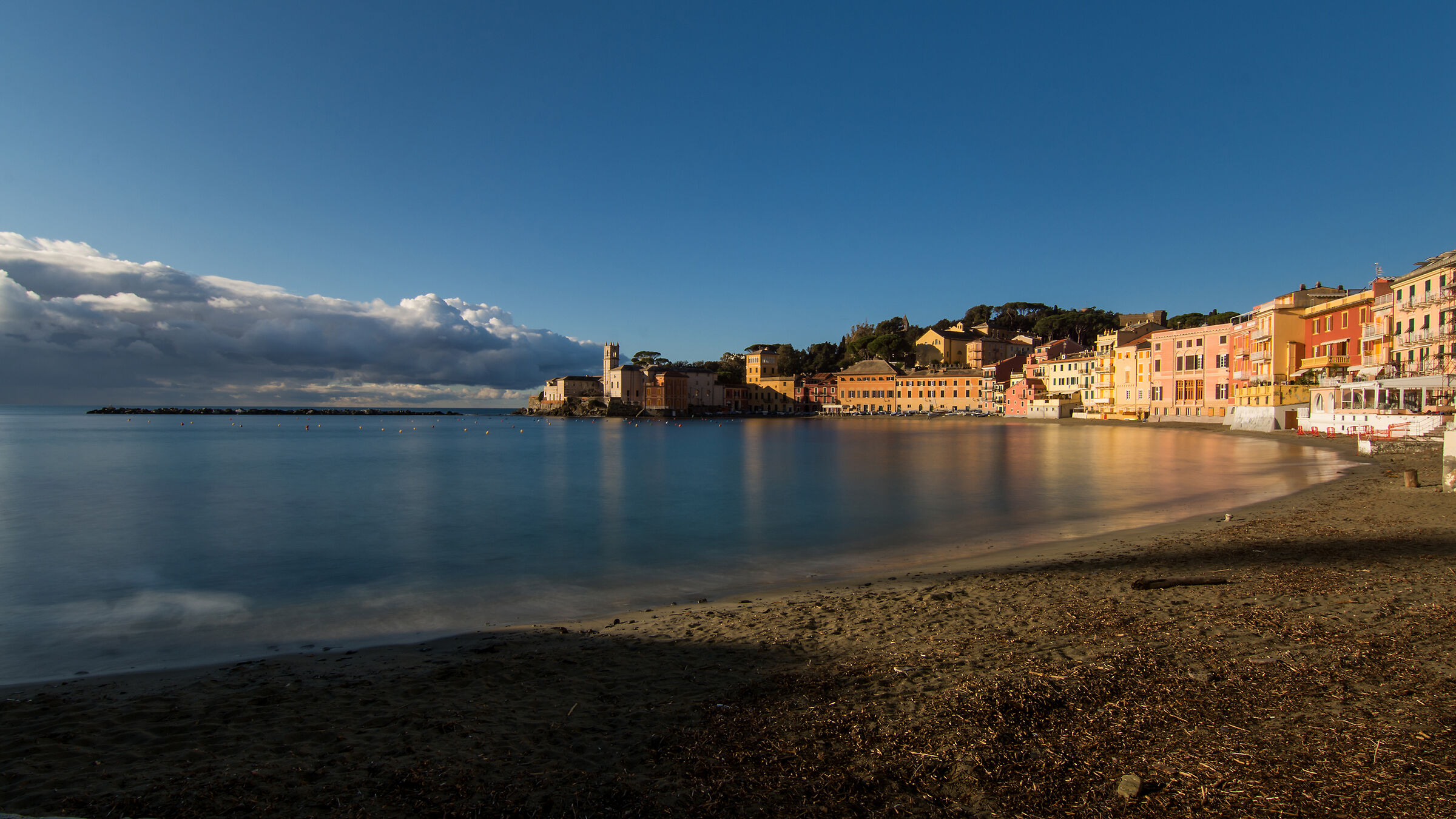 One morning in the bay