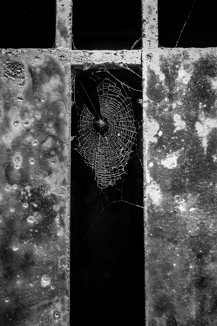 Persistence of Time #1