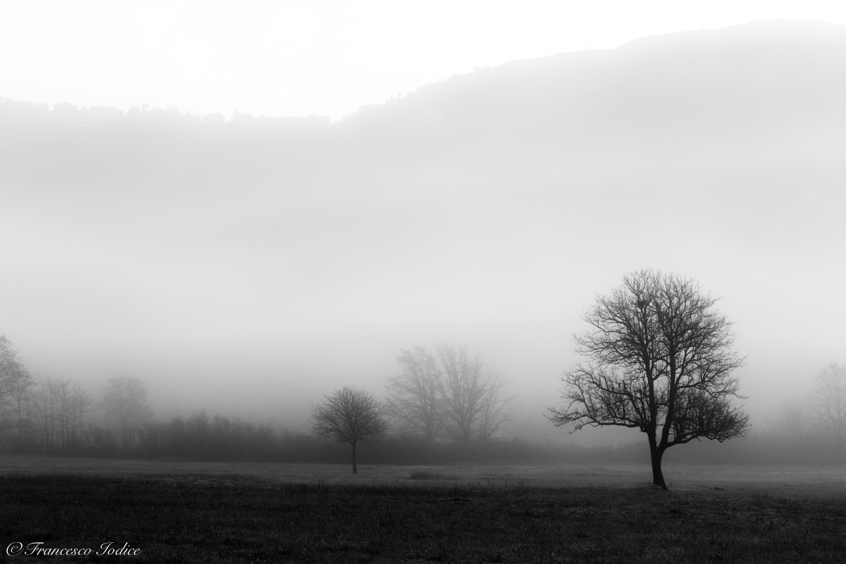 Nebbia sugli Aurunci "Campodimele"