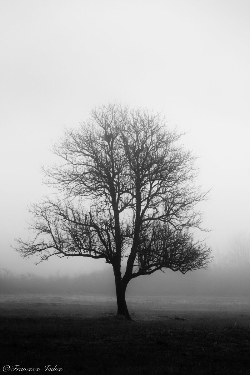 Nebbia sugli Aurunci "Campodimele"