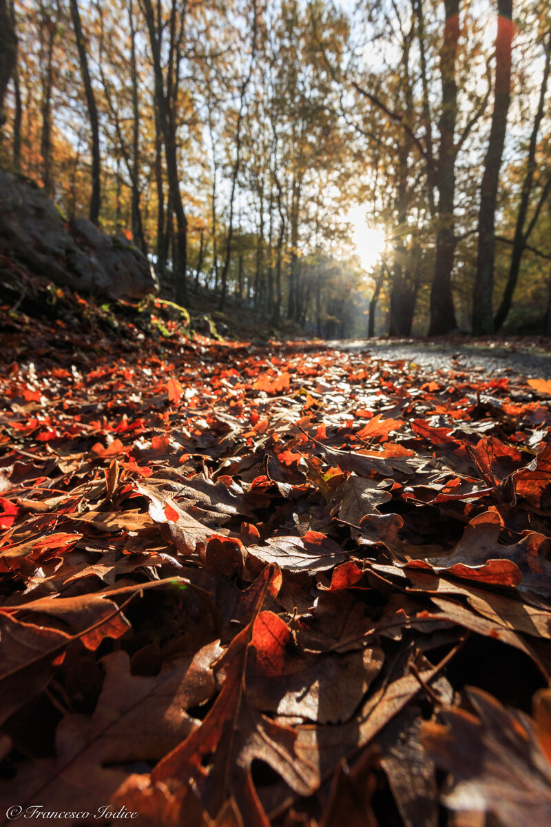 "colori autunnali" Monti aurunci