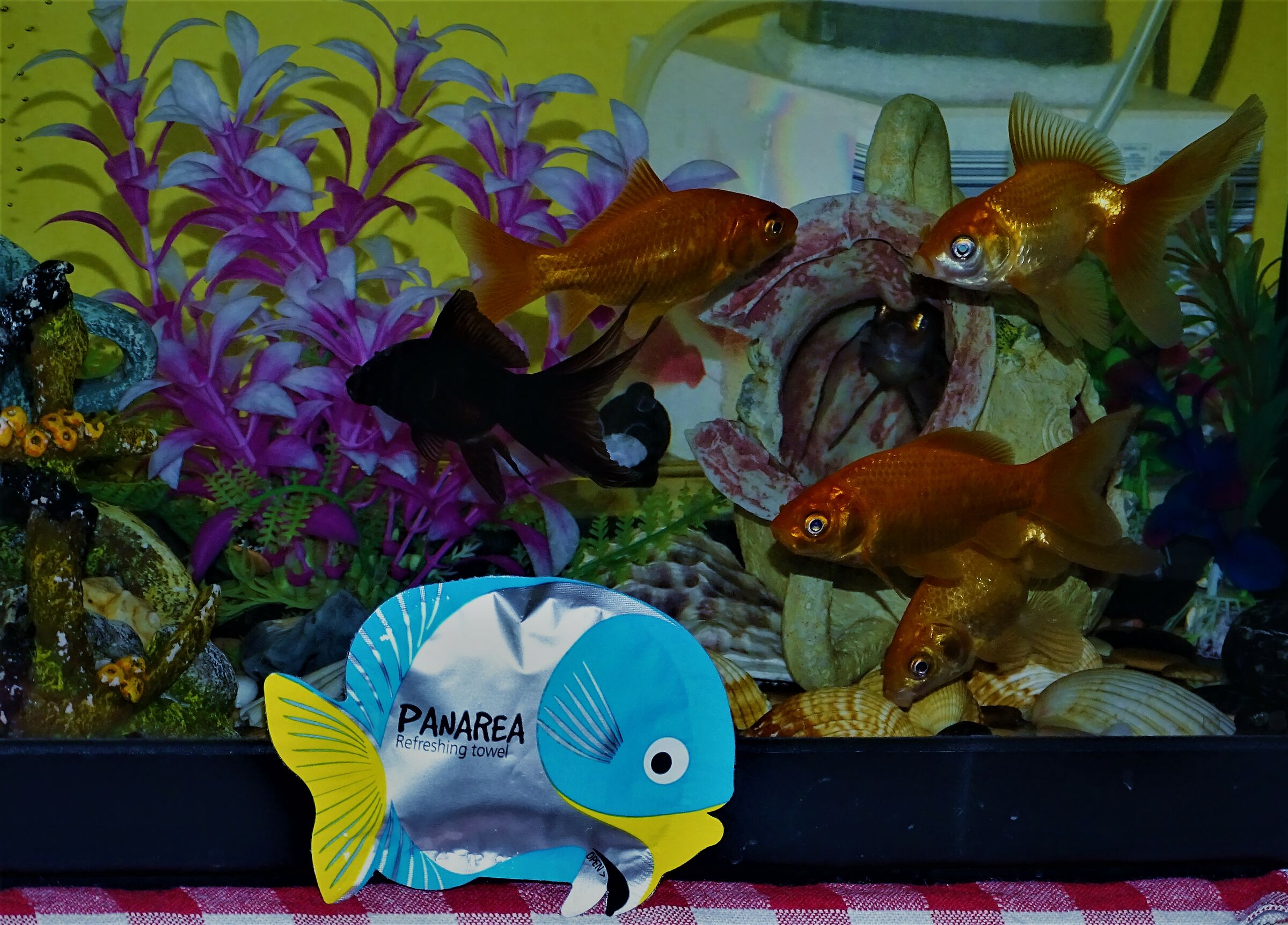 quando si dice...curiosita'...