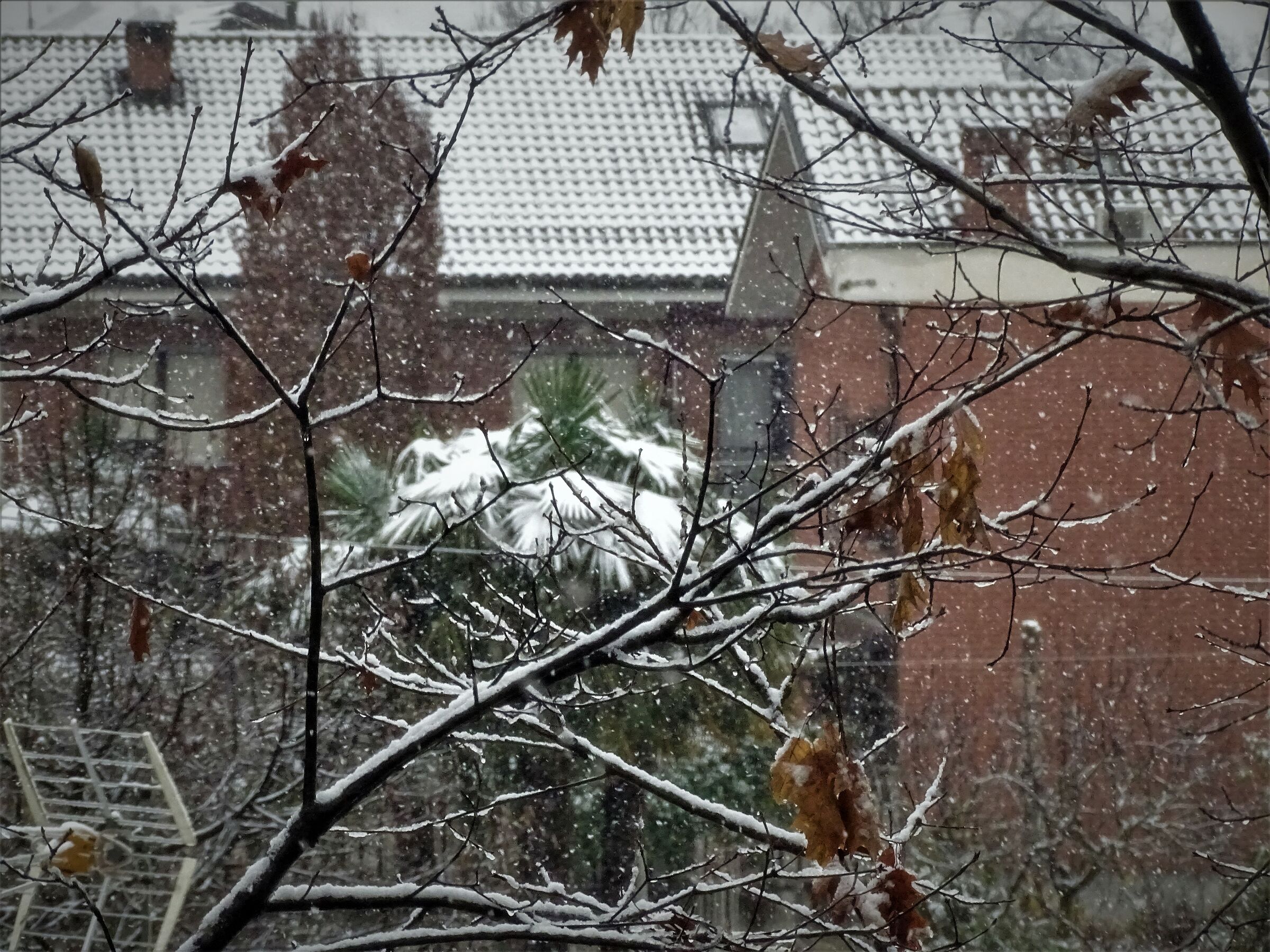 tanta neve anche in citta'...