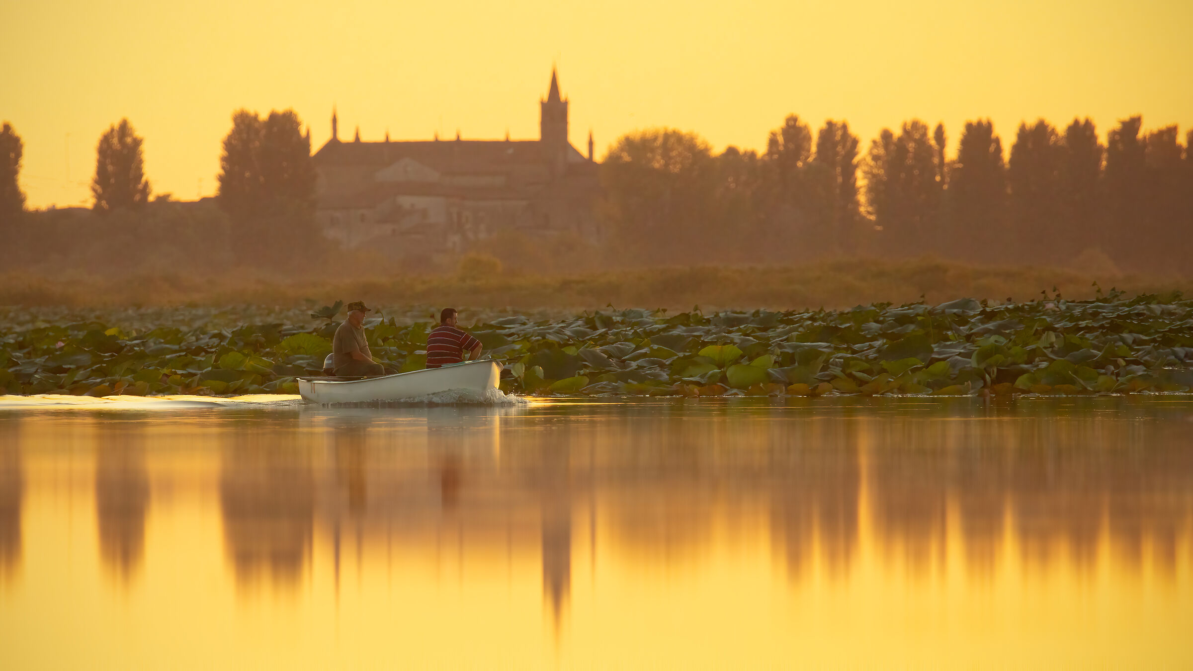 Incontri nel Parco del Mincio (mn)
