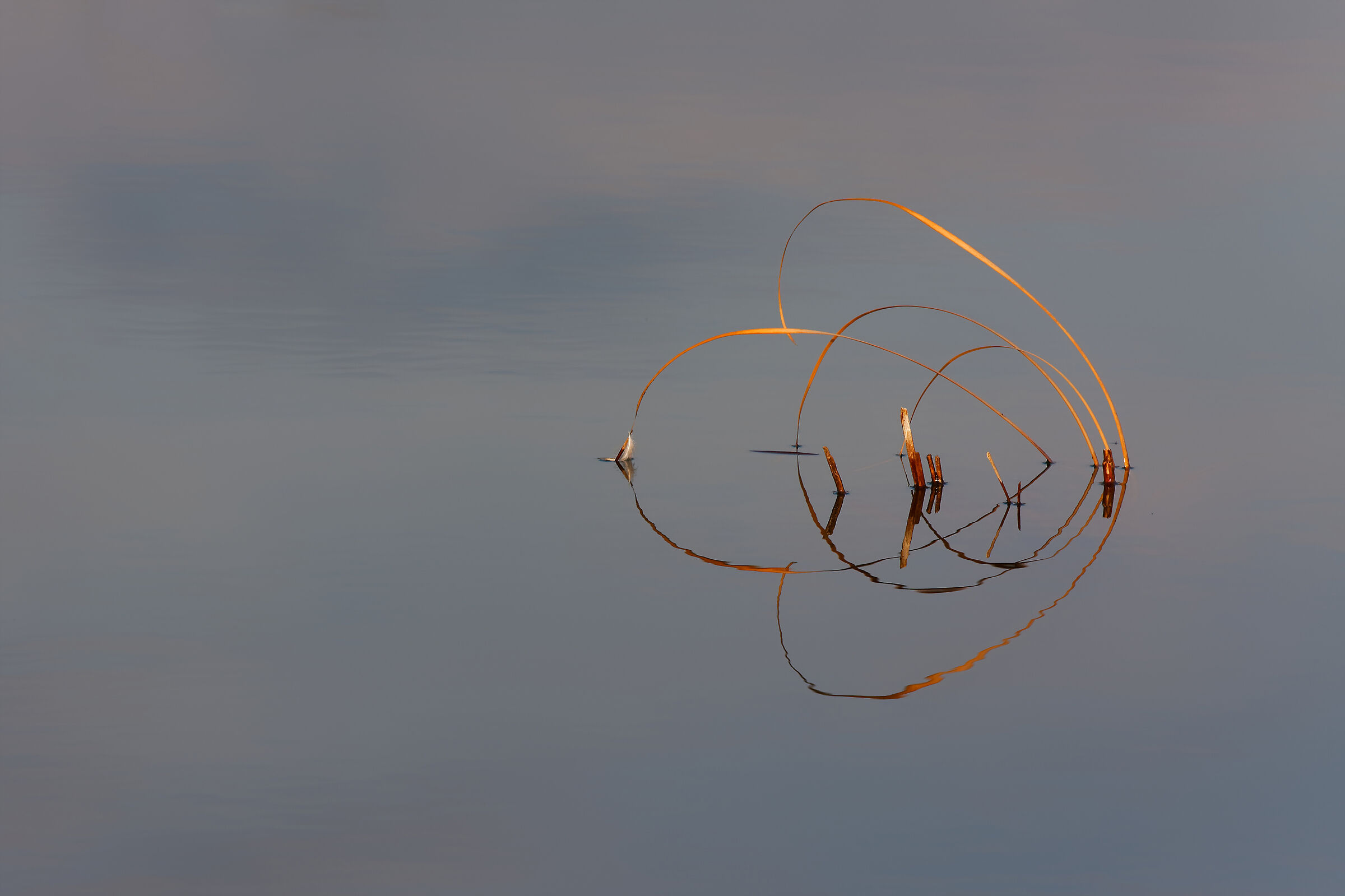 Reflection with sunset light