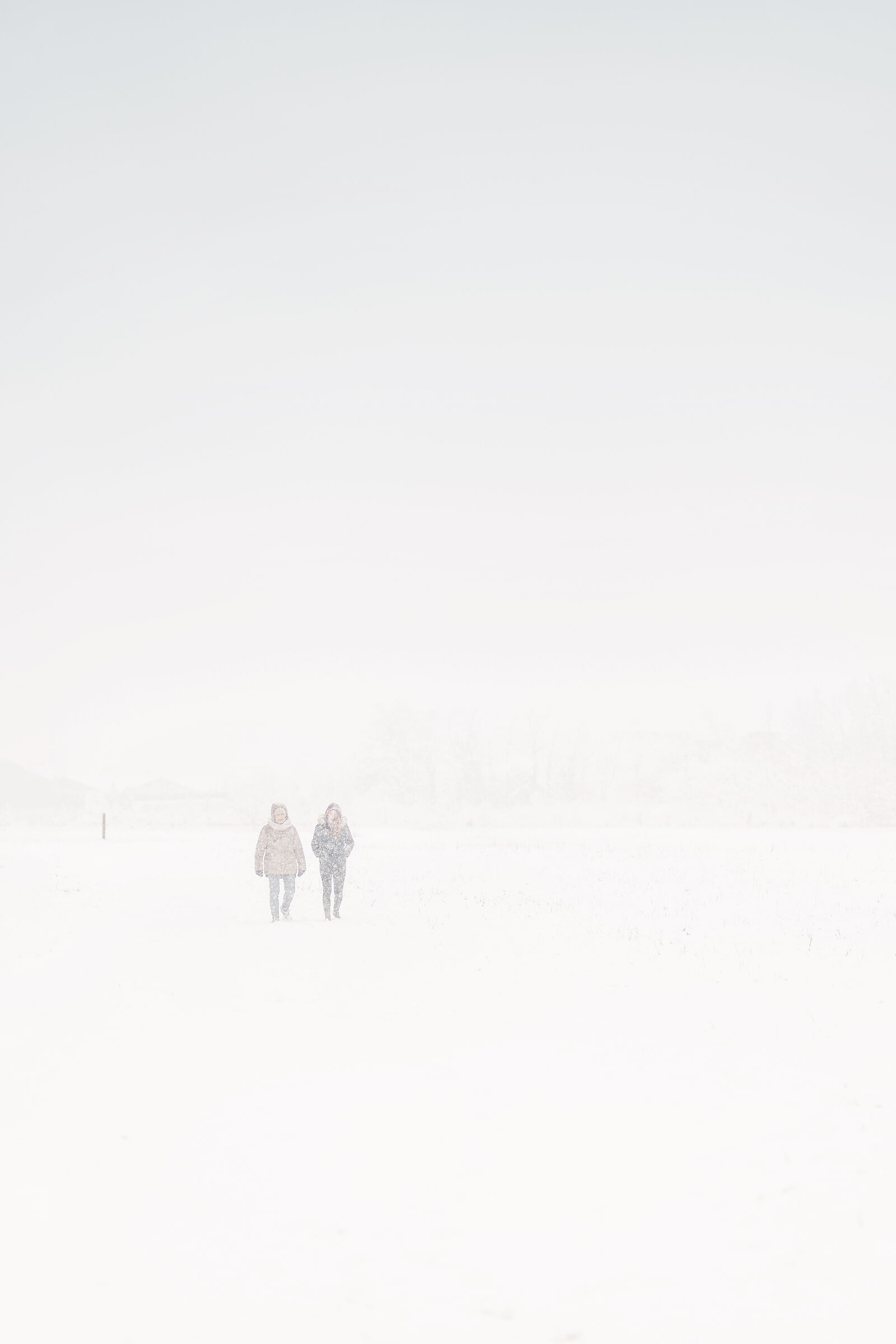 Minimal nella tormenta