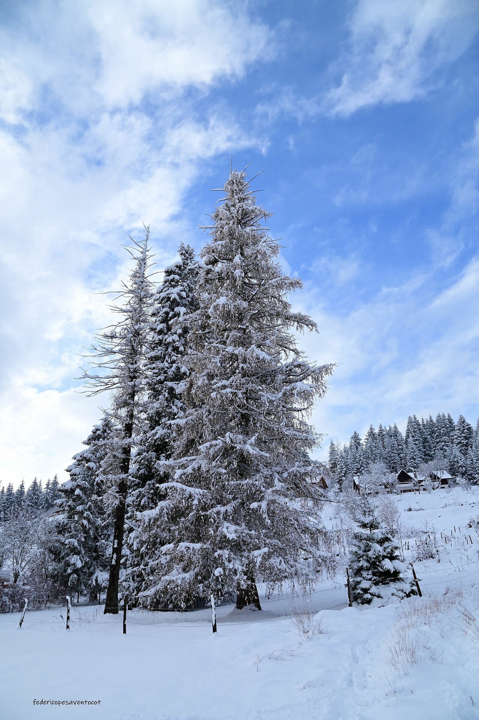 La prima nevicata