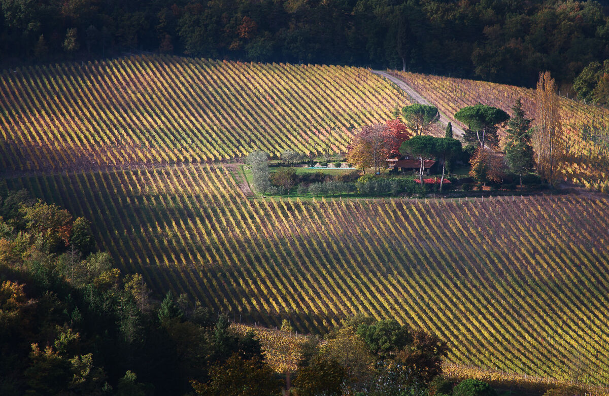 Piccolo angolo di paradiso ...