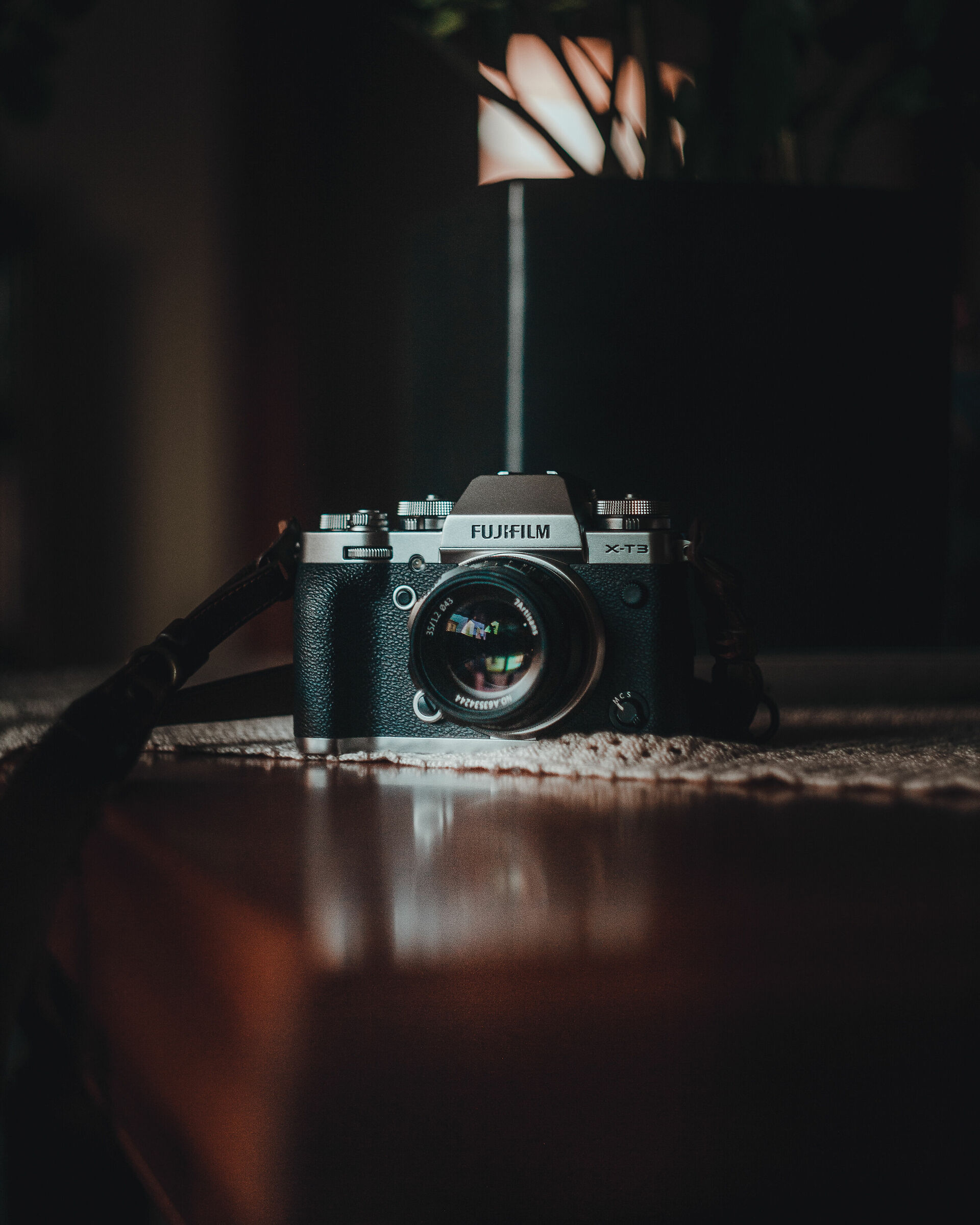 Untitled Photo