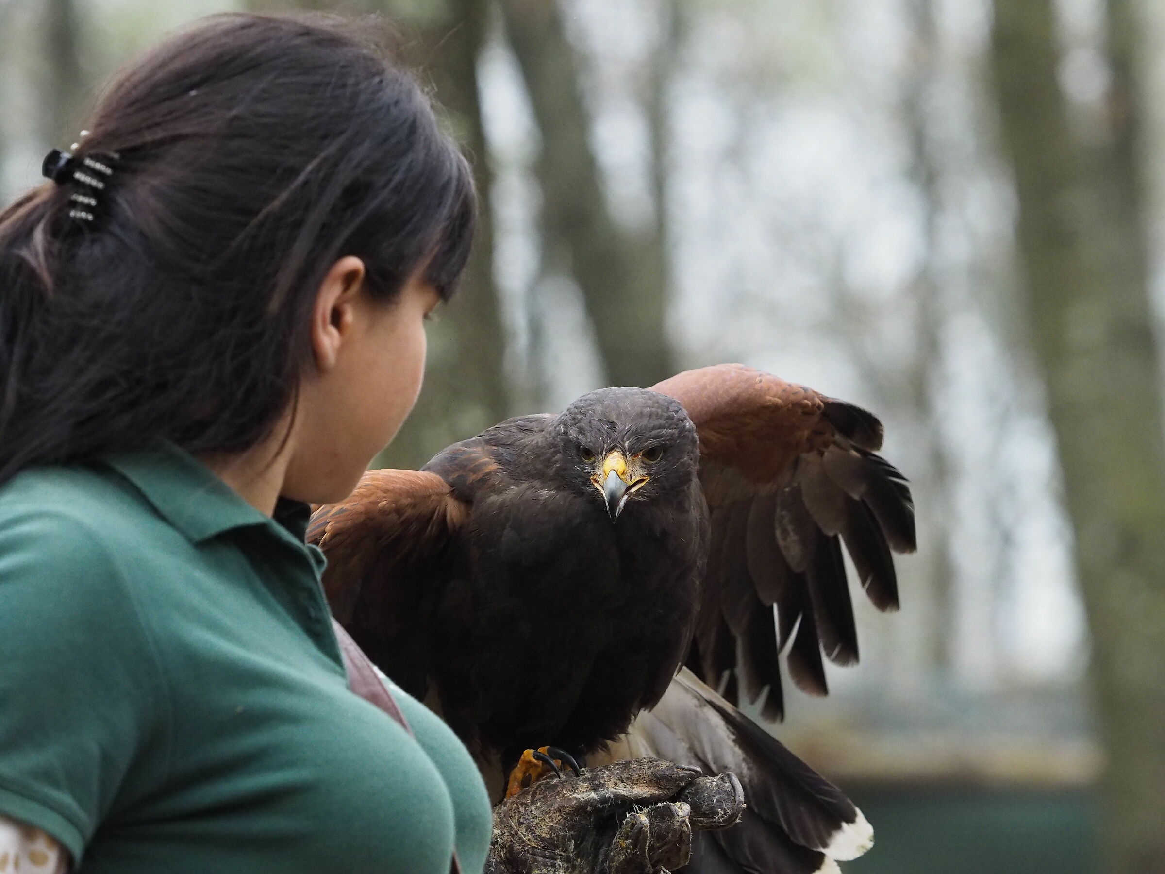 Le due cime di Lavaredo