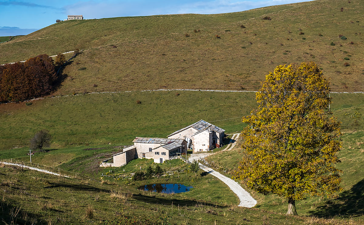 Lexinia-malghe - Wikipedia