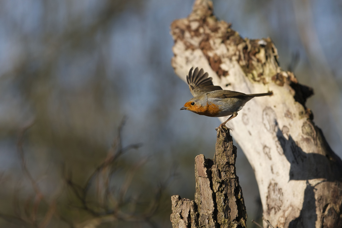 Equilibrio perfetto. Insegnante prof.sa Natura