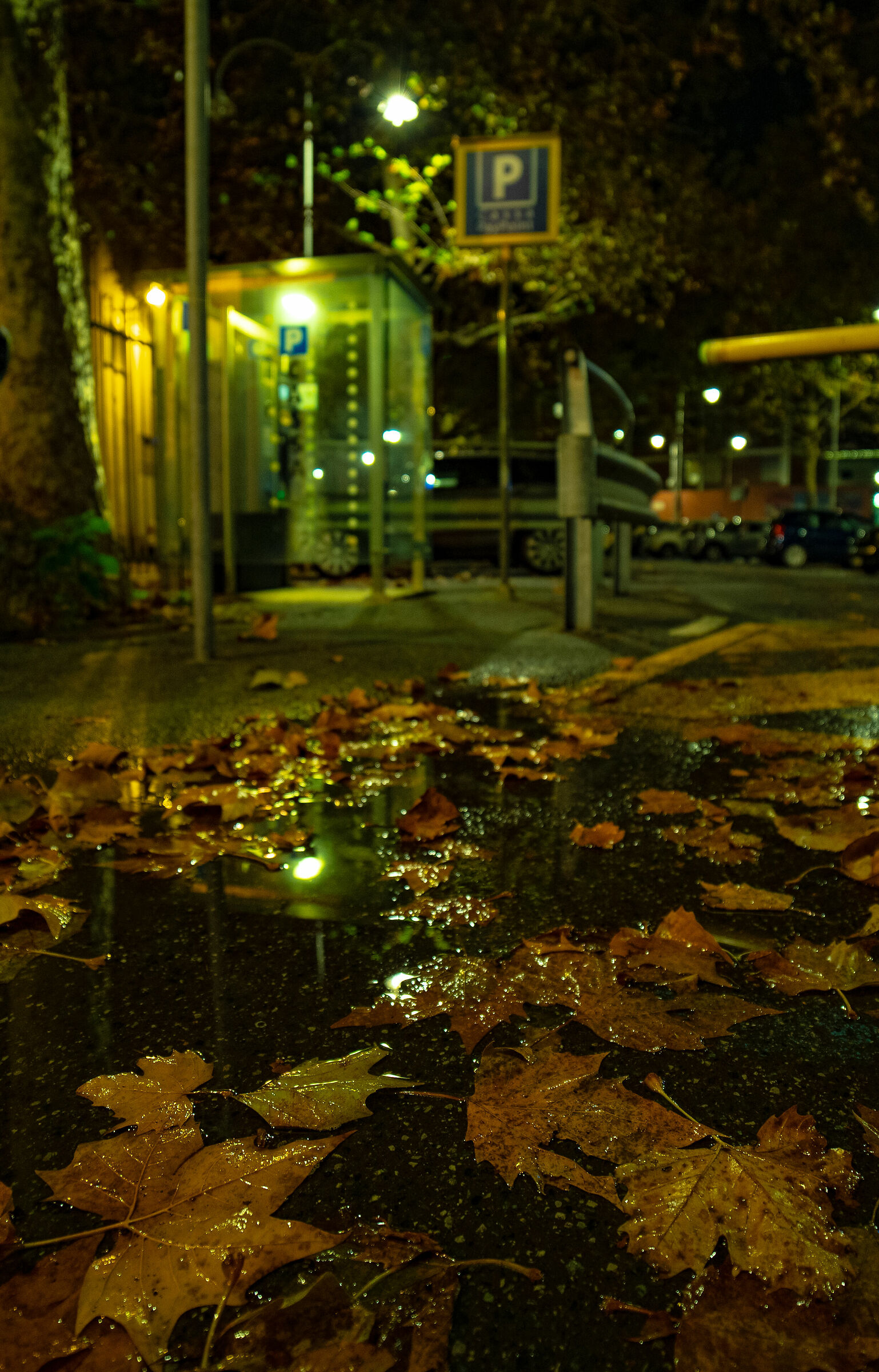 Inverno al parcheggio