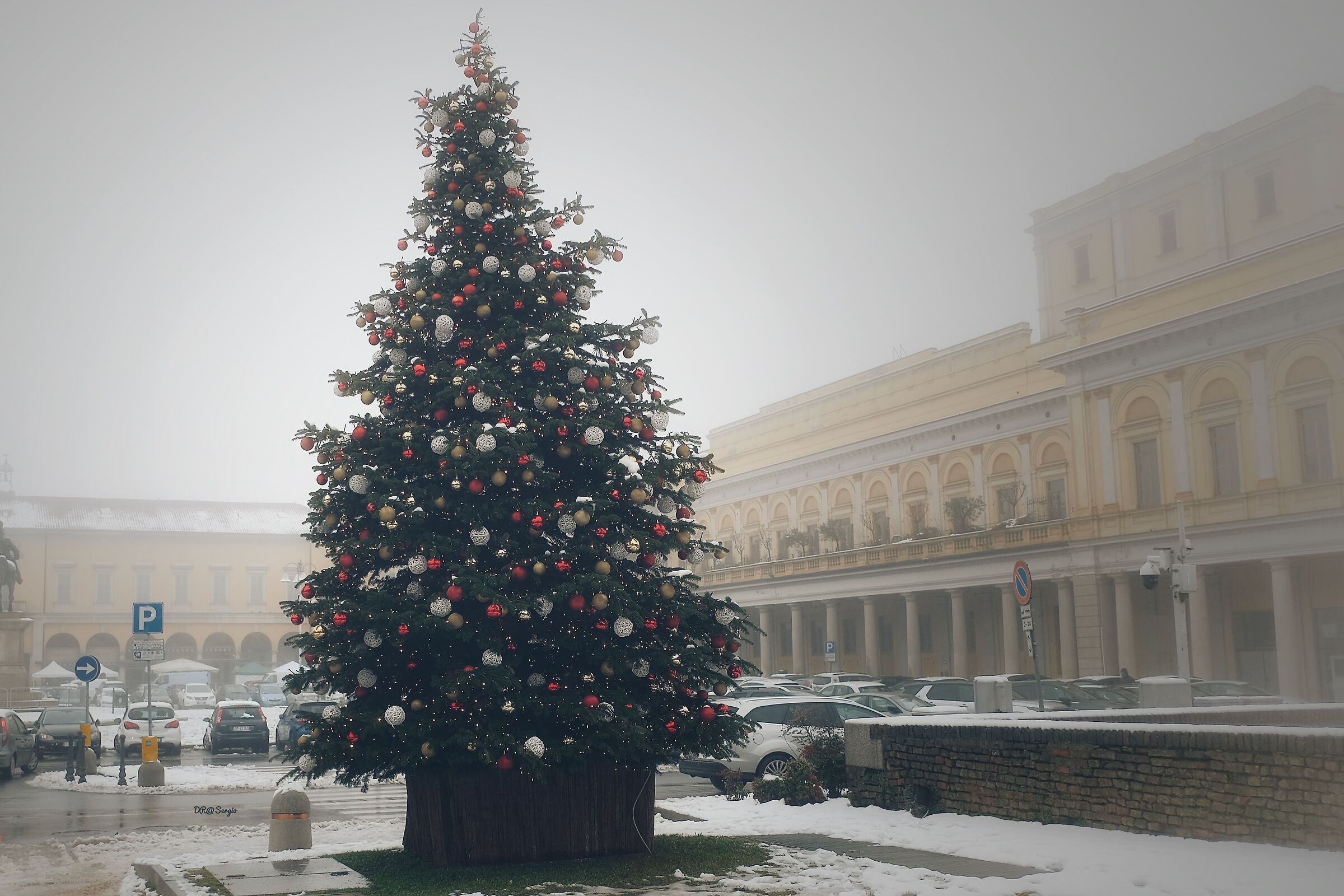 Christmas in novara