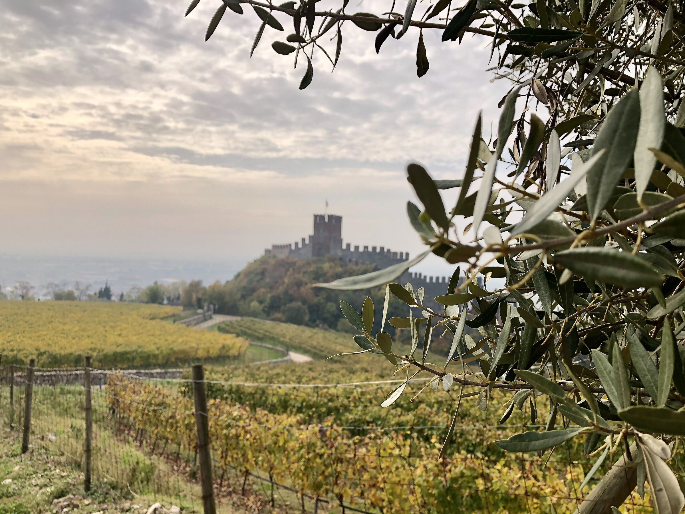 Il Castello, Soave