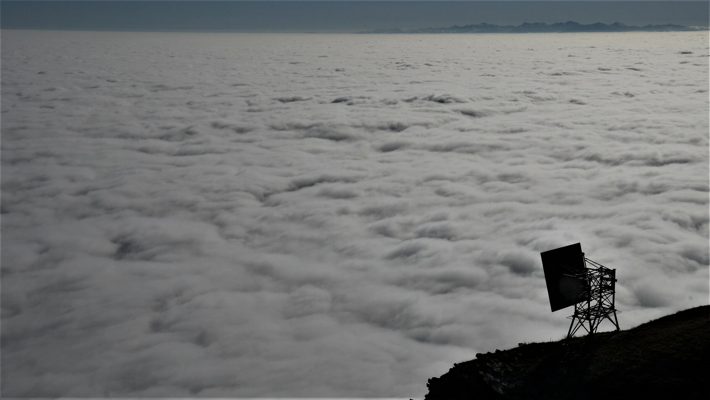 vandalino - Wikipedia