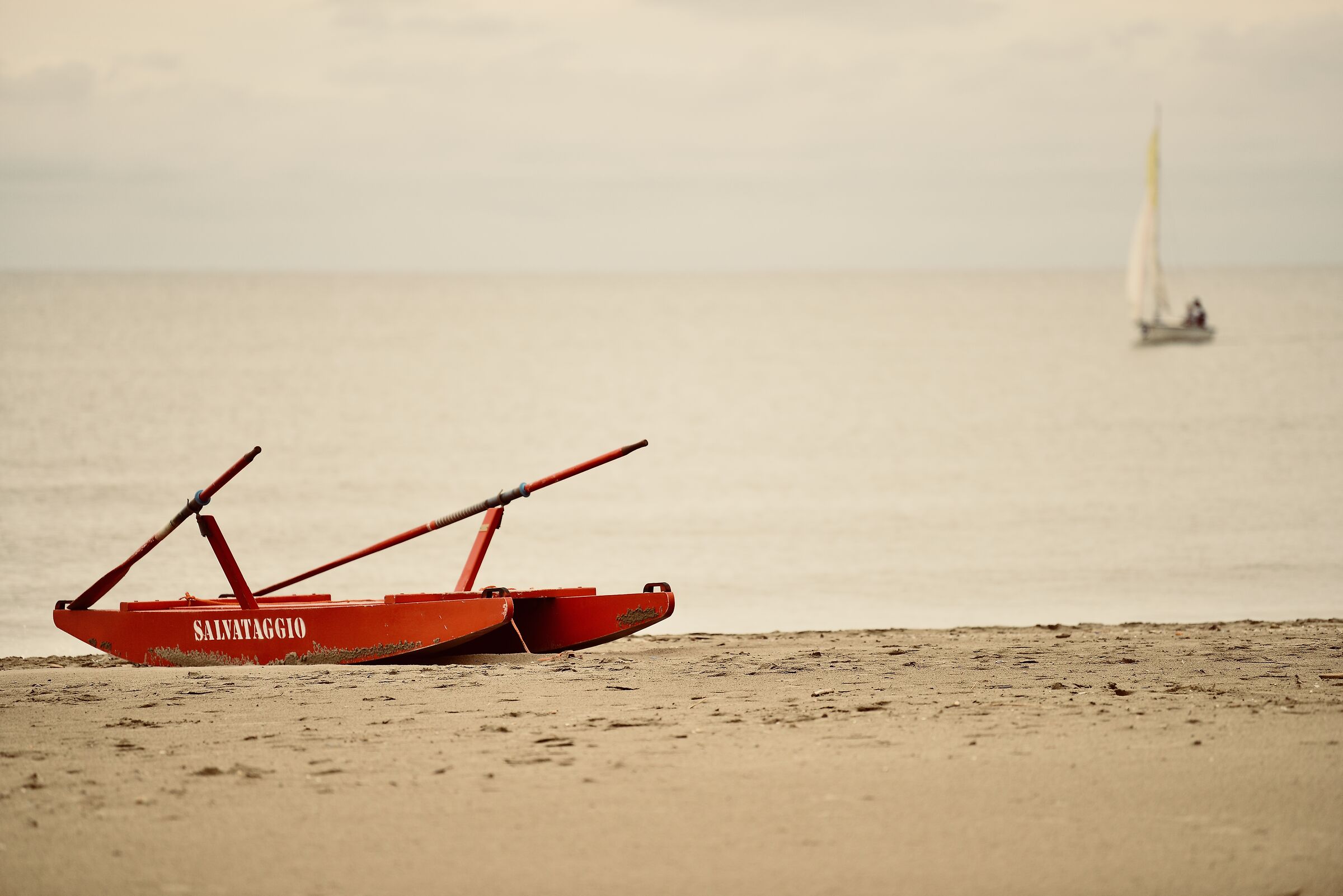 Untitled Photo