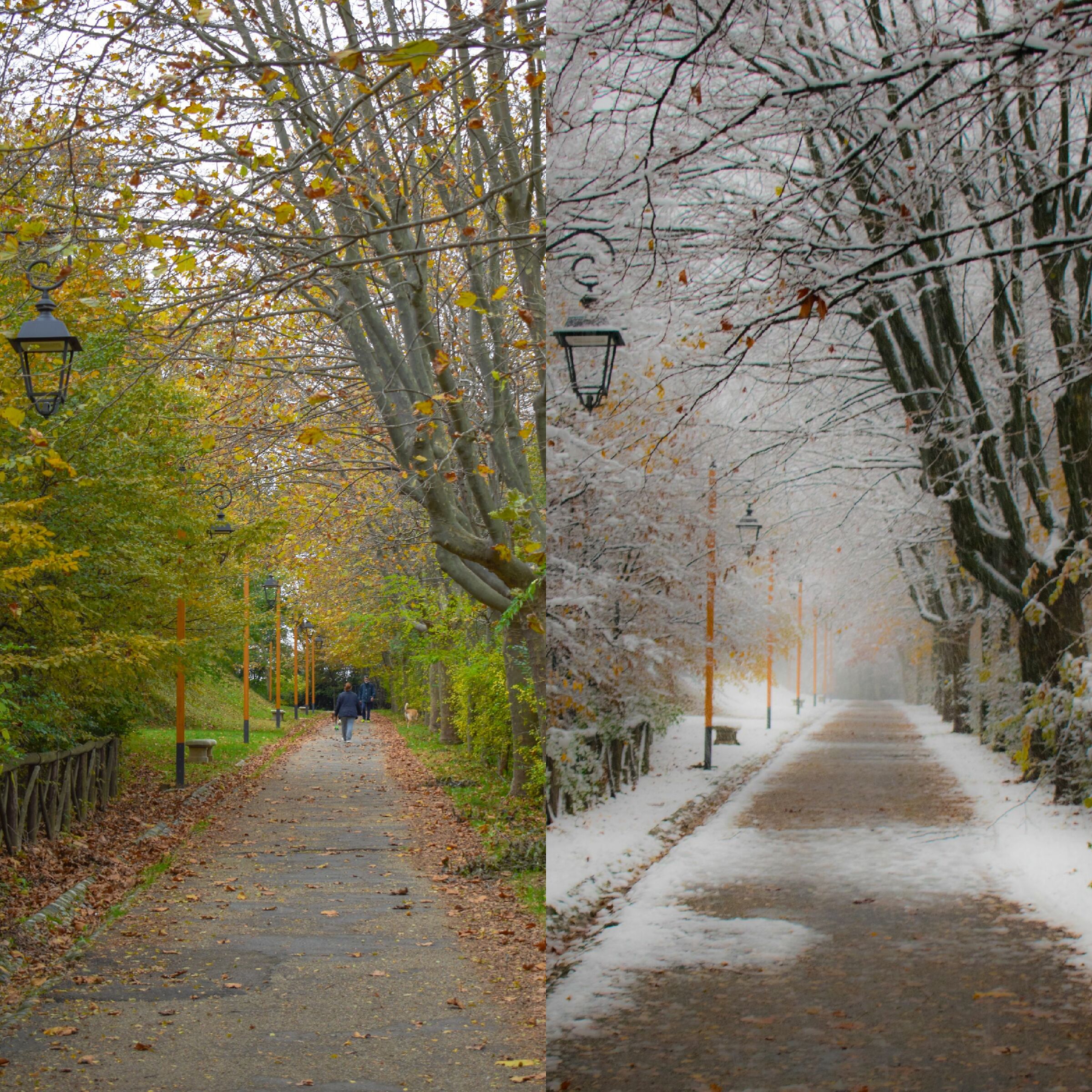 And which season do you prefer?