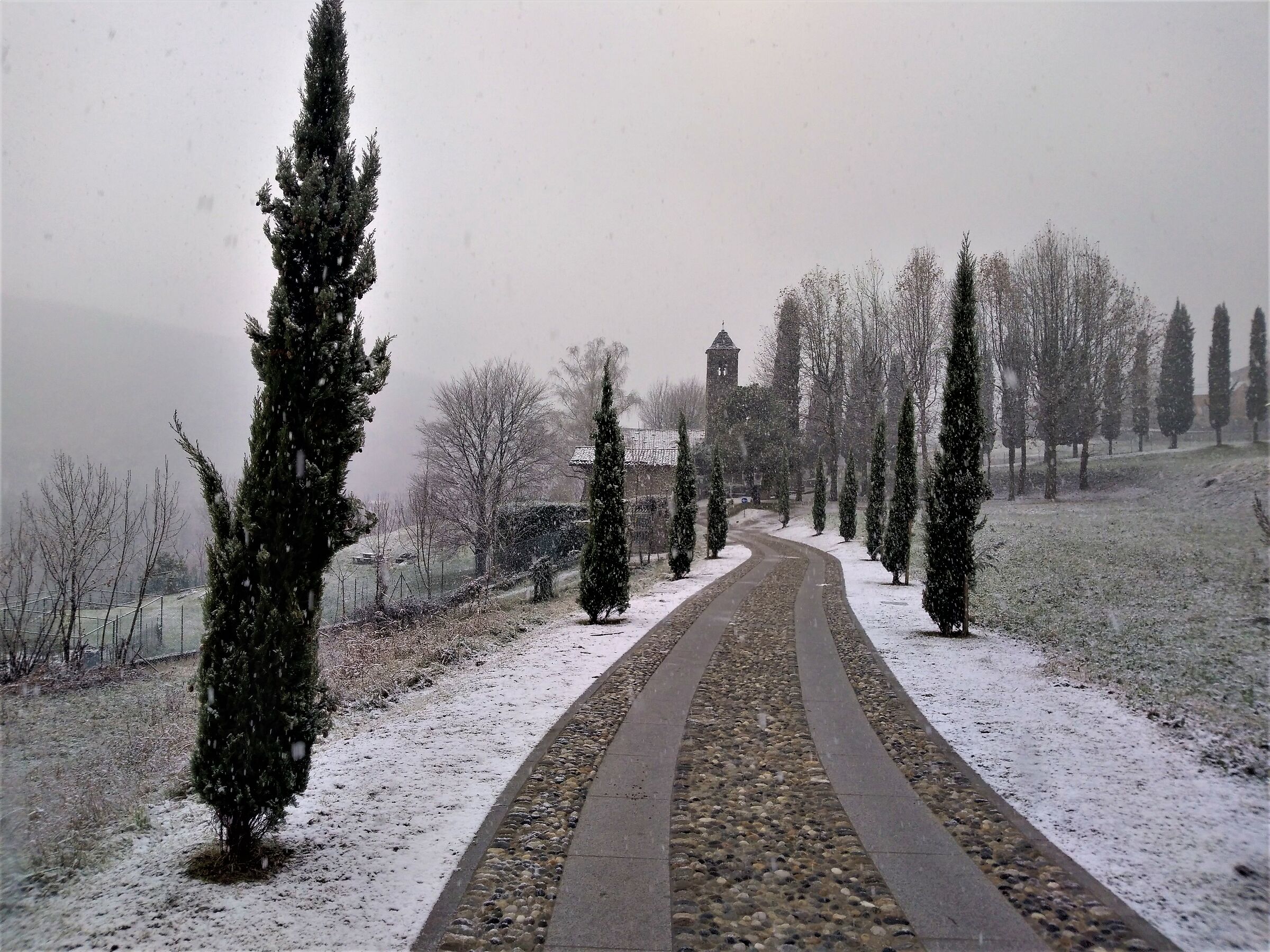 San Calocero grass caslino