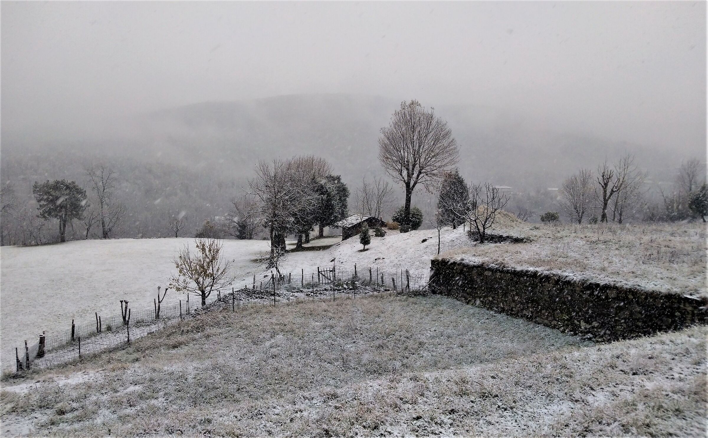 Caslino d'Erba S. Calocero