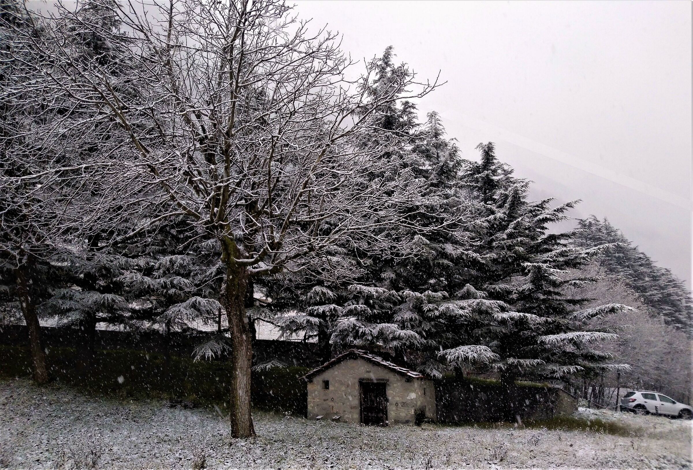 Caslino d'Erba S. Calocero