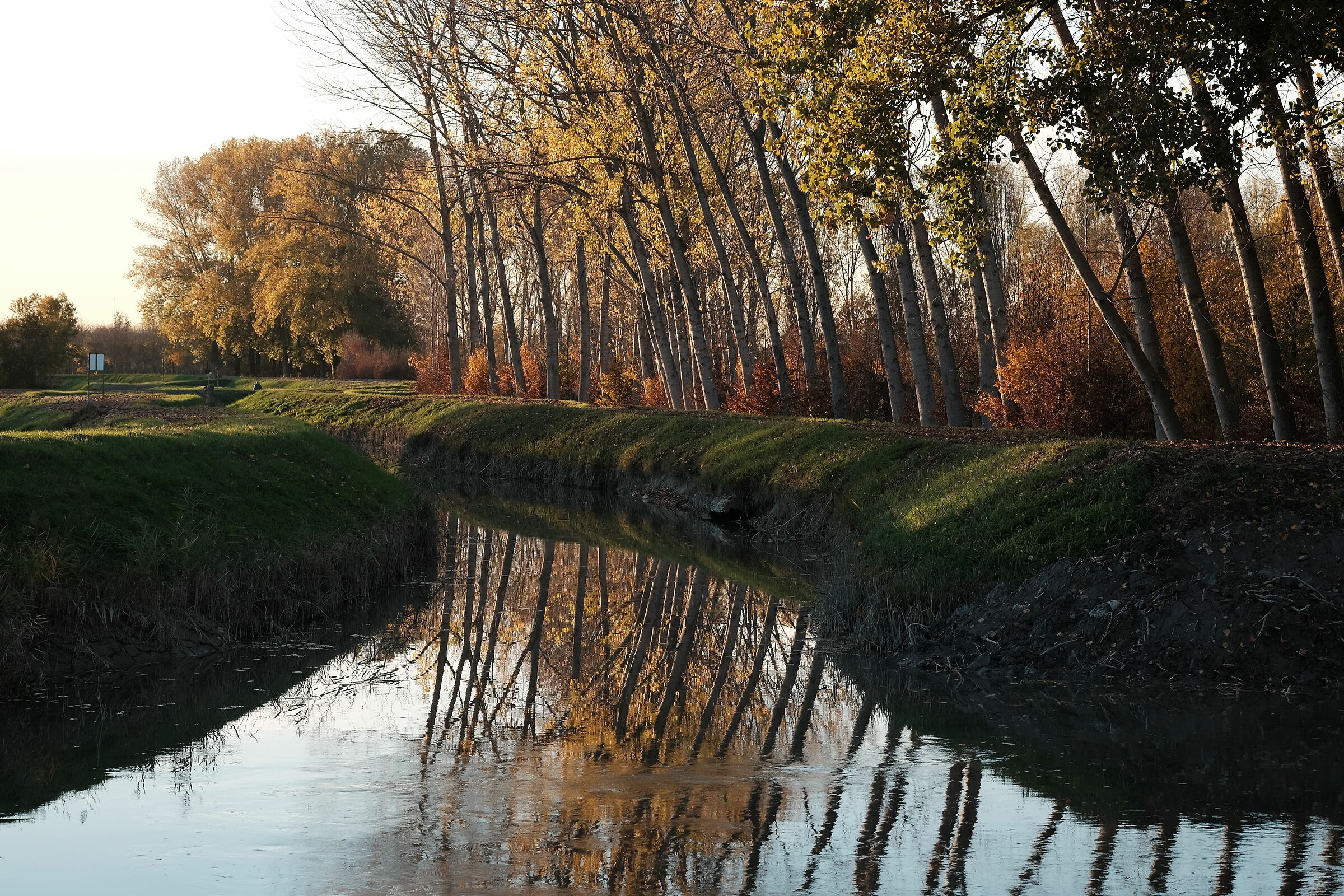 tra Padova e Venezia non solo capannoncini dismessi....