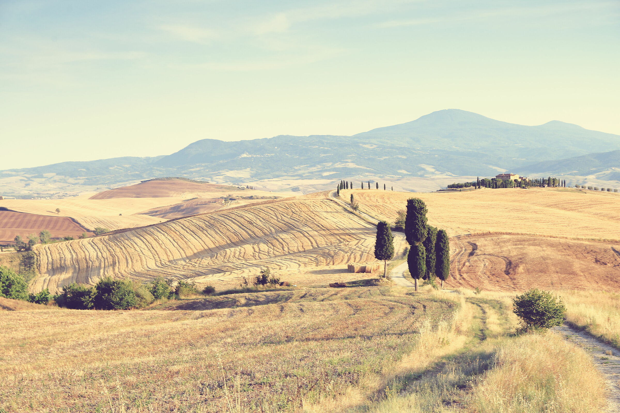 Un Gladiatore in Val d'Orcia