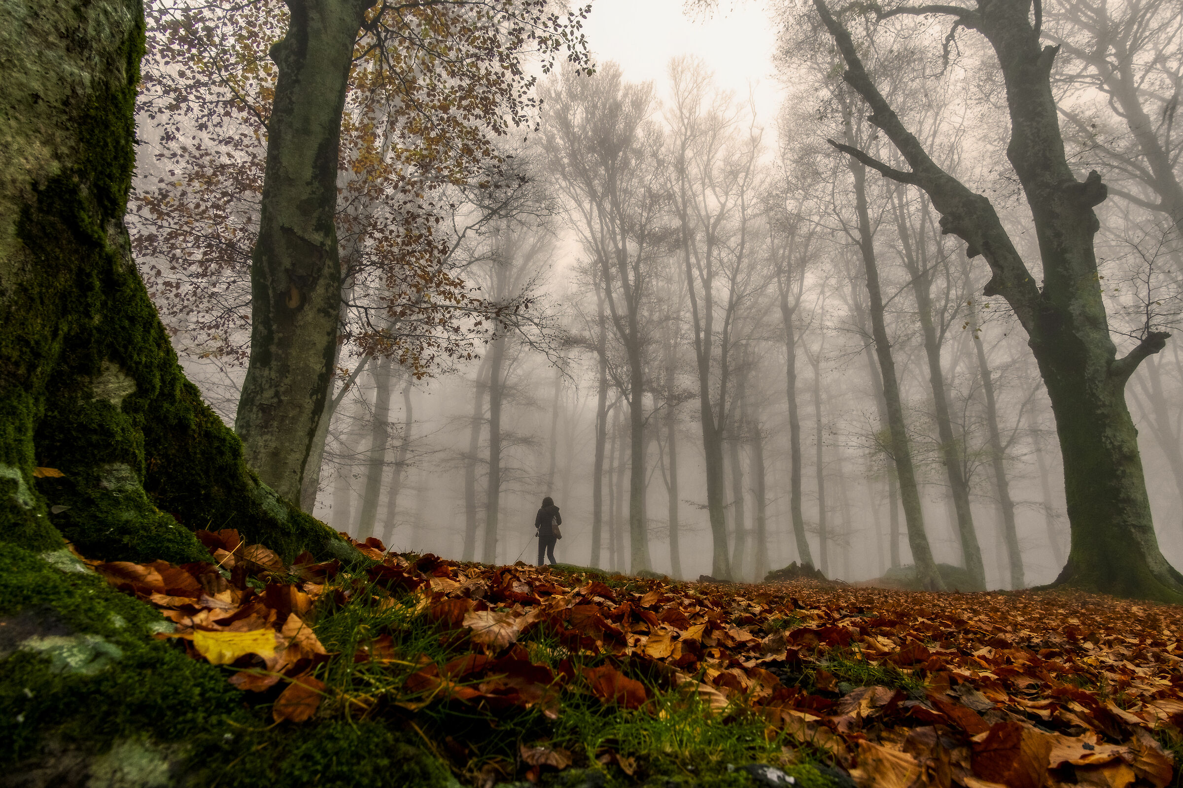 Autunno a Soriano