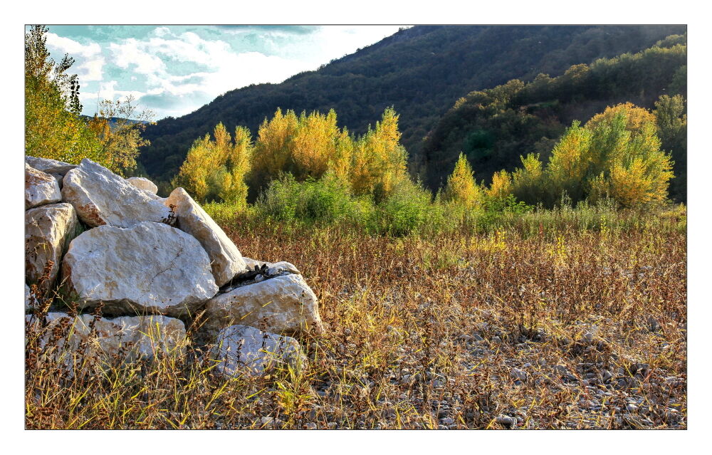 L'autunno 2020 dalle mie parti_05 (fiume Enza)