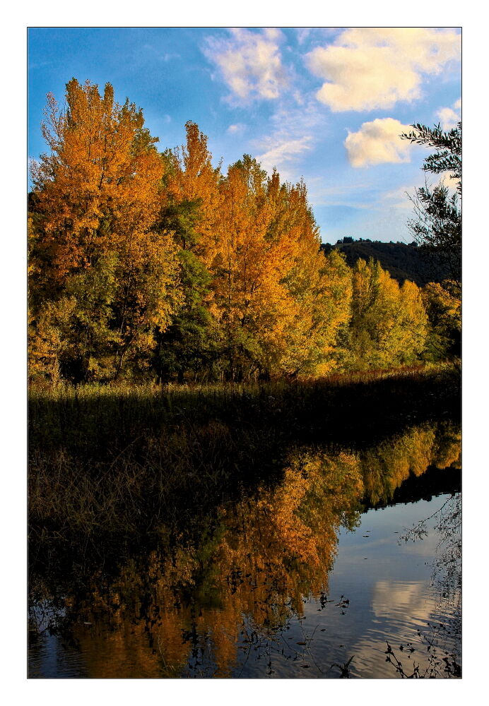 L'autunno 2020 dalle mie parti_06 (fiume Enza)