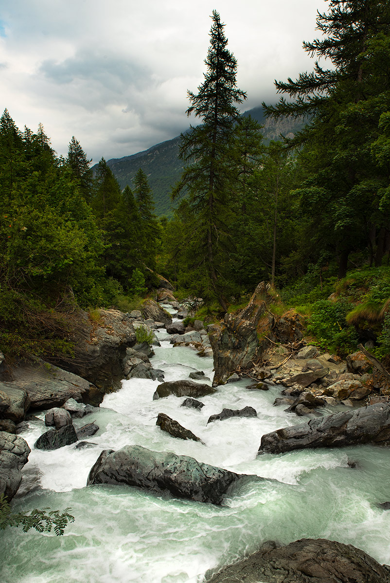 Untitled Photo
