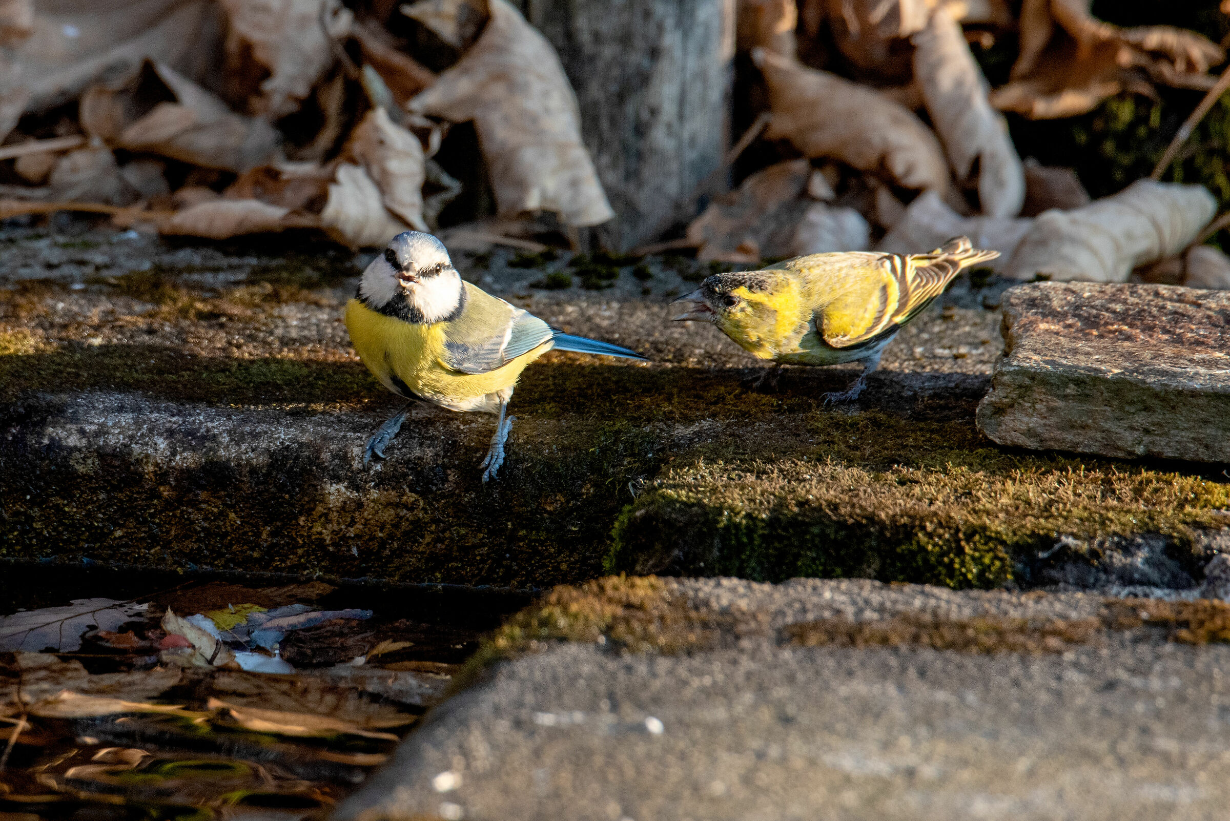 And the people who see us here