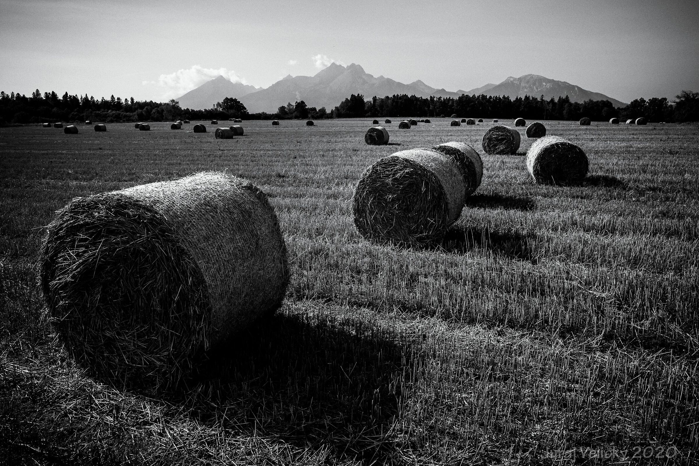 Untitled Photo