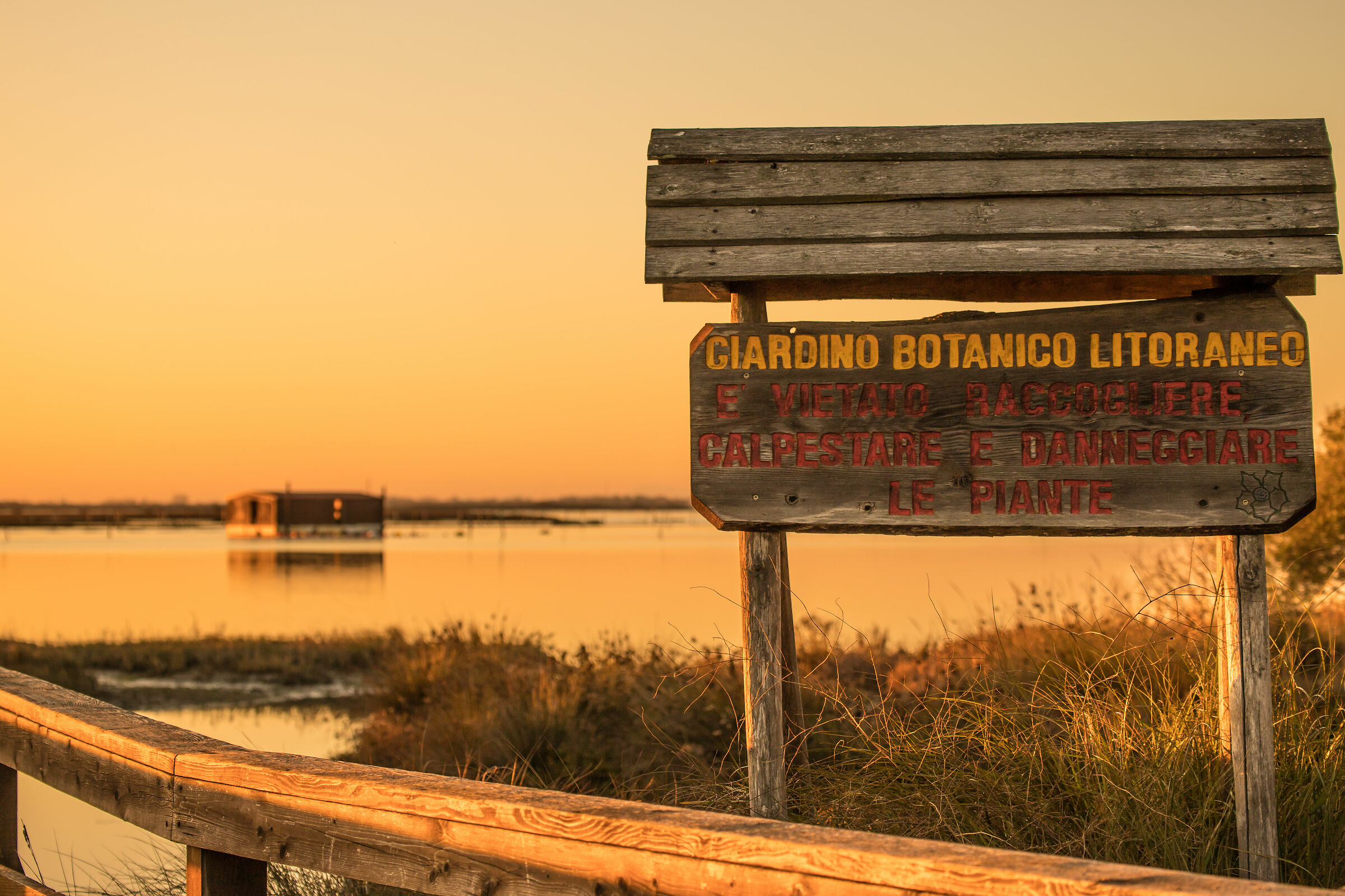 coastal botanical garden